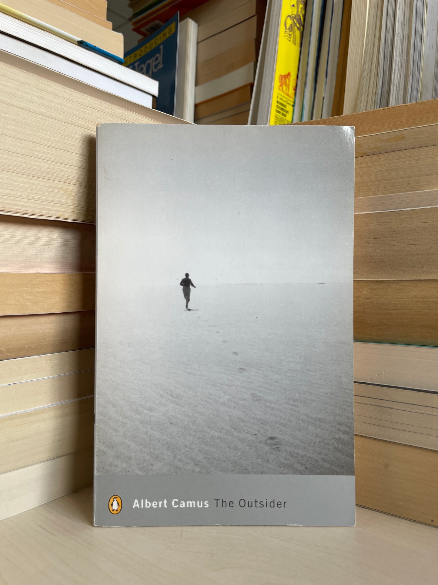 Albert Camus - The Outsider
