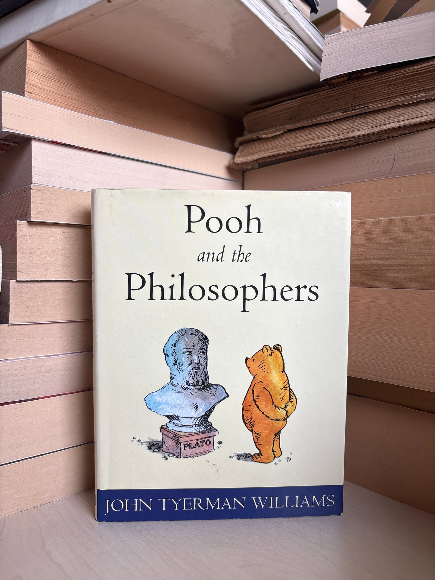 John Tyerman Williams - Pooh the Psychologists