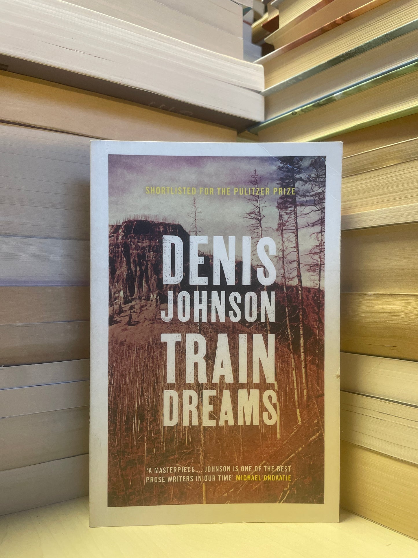 Denis Johnson - Train Dreams