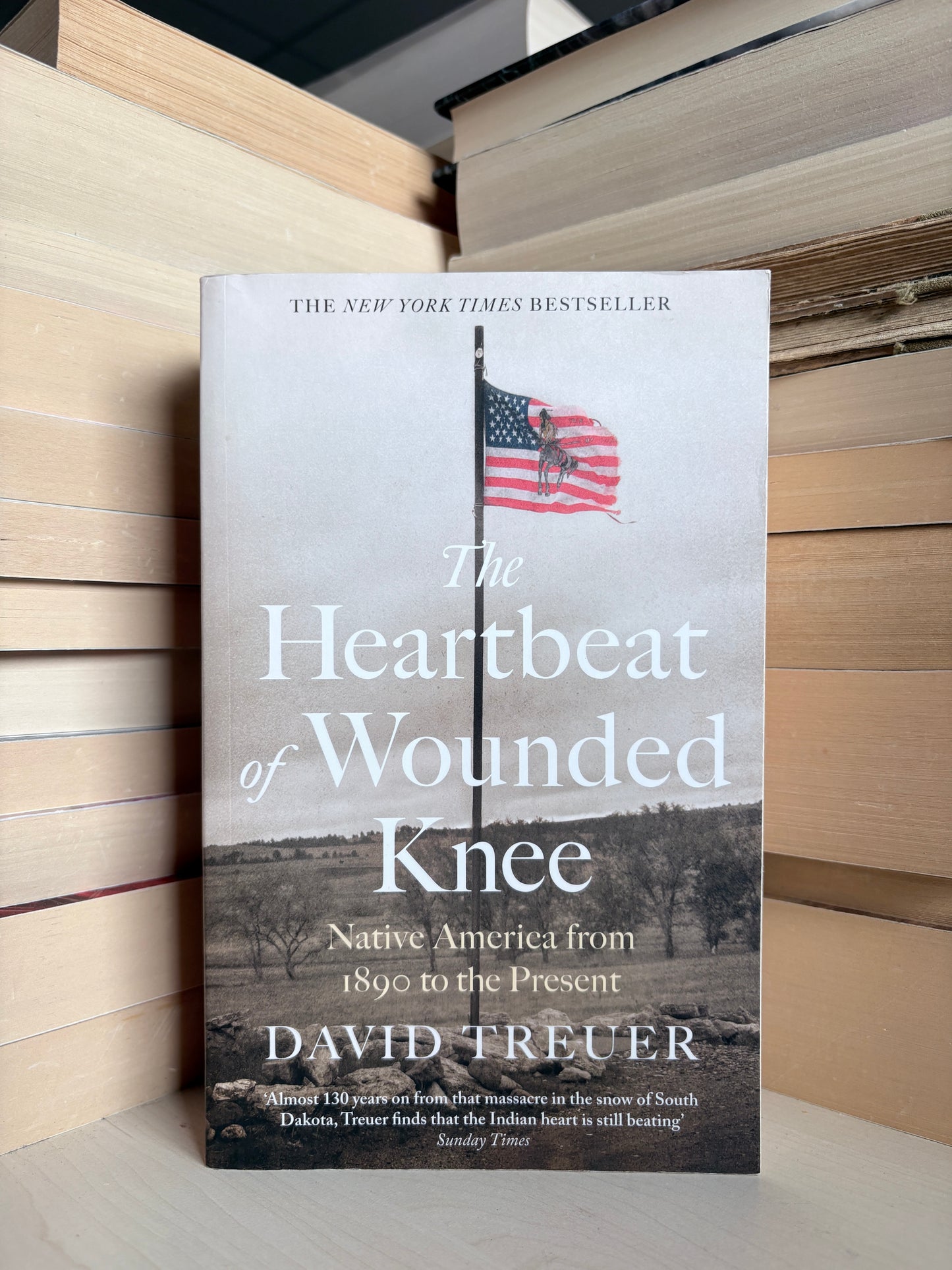 David Treuer - The Heartbeat of Wounded Knee