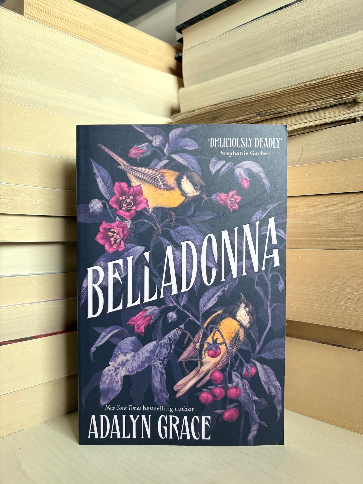 Adalyn Grace - Belladonna