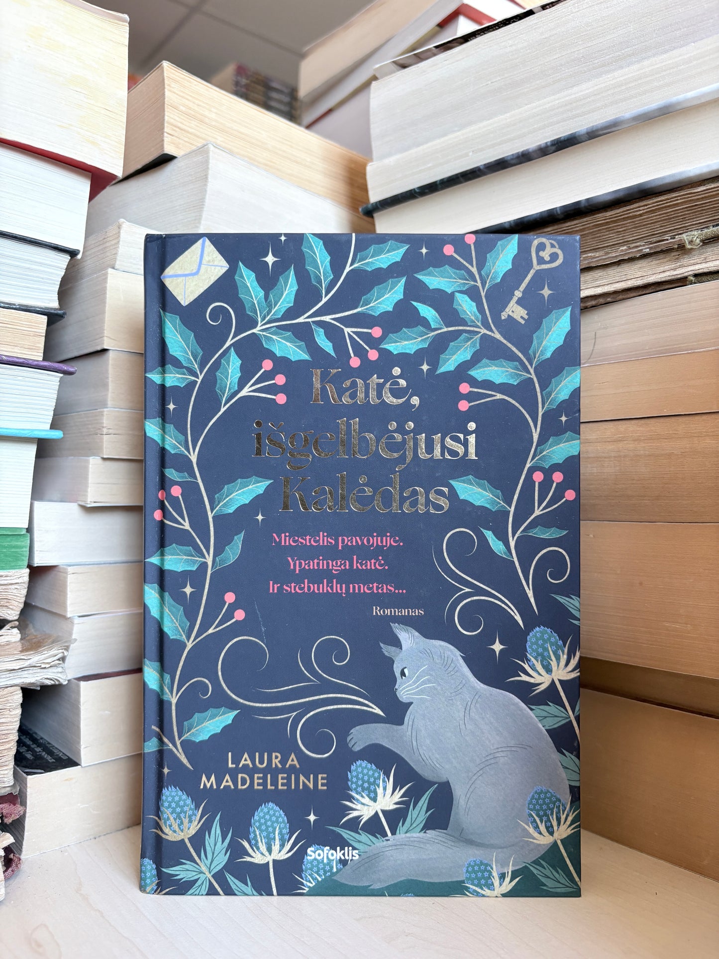 Laura Madeleine - ,,Katė išgelbėjusi Kalėdas"