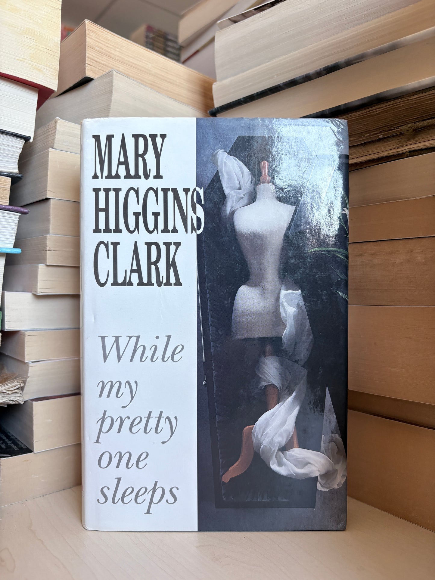 Mary Higgins Clark - While My Pretty One Sleeps