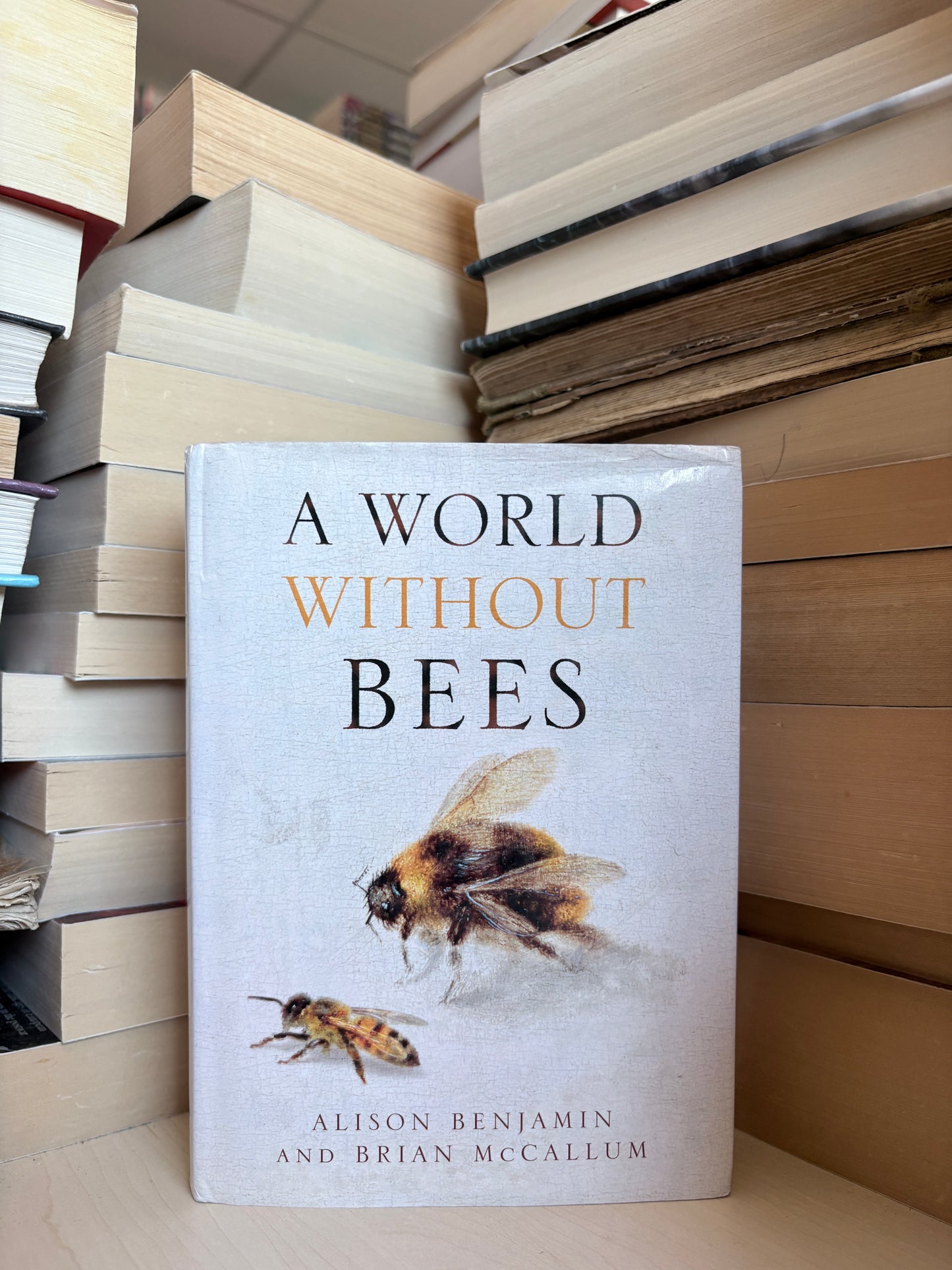 Alison Benjamin, Brian McCallum - A World Without Bees