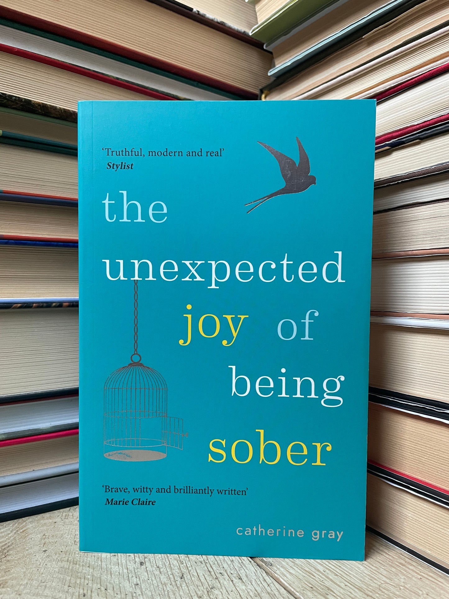 Catherine Gray - The Unexpected Joy of Being Sober