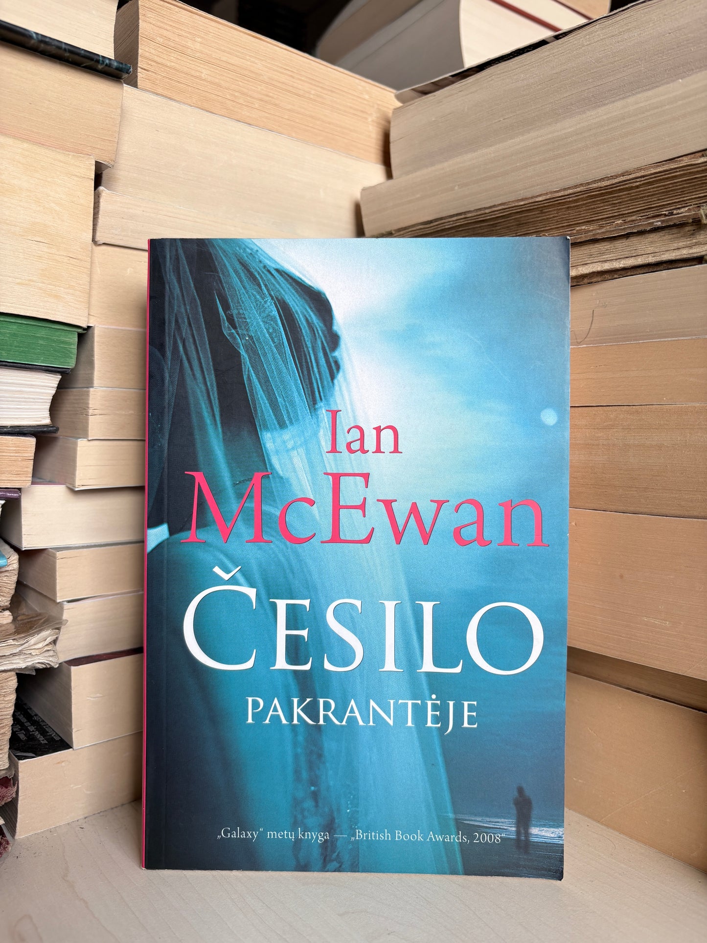 Ian McEwan - ,,Česilo pakrantėje"