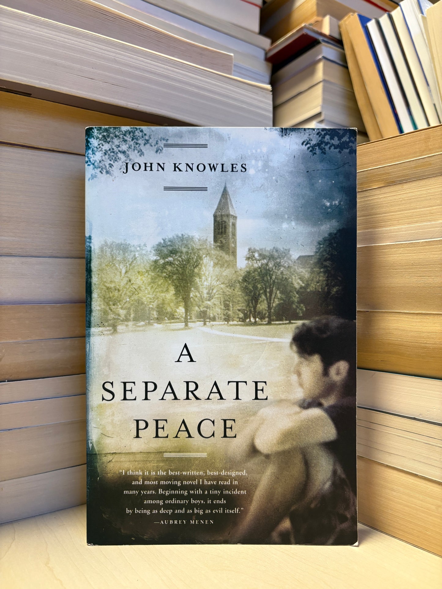 John Knowles - A Separate Place