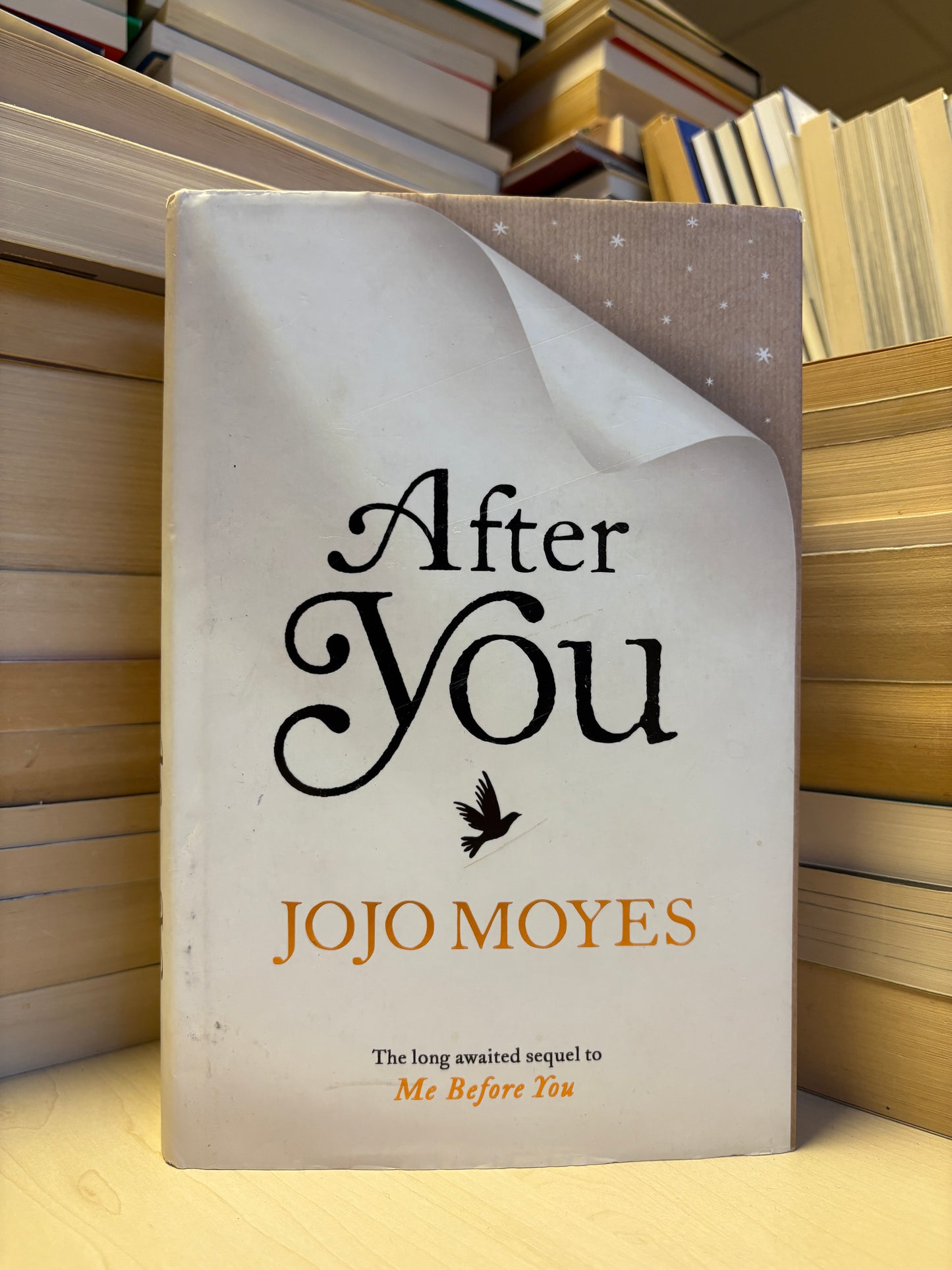 Jojo Moyes - After You