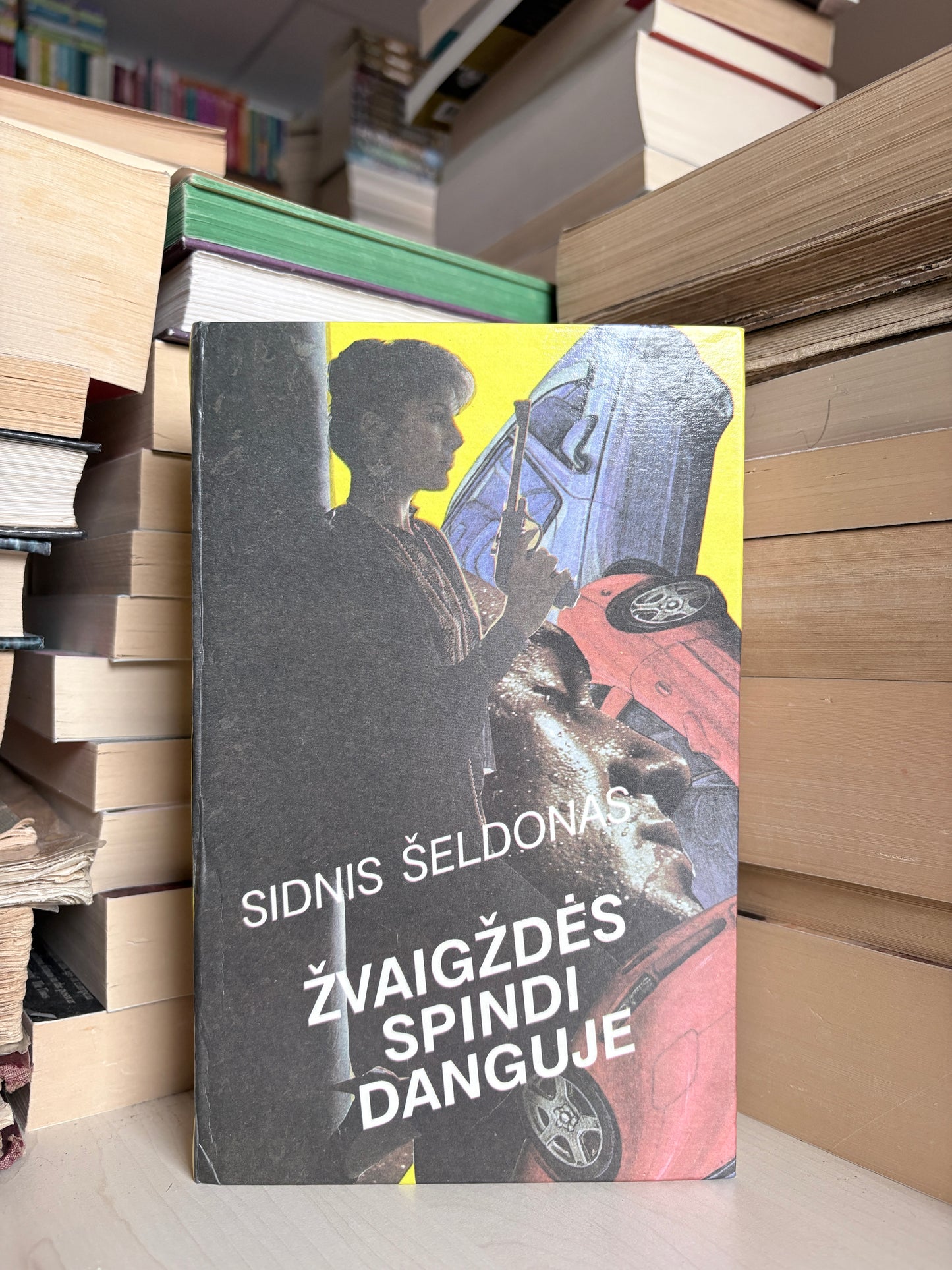 Sidnis Šeldonas - ,,Žvaigždės spindi danguje"