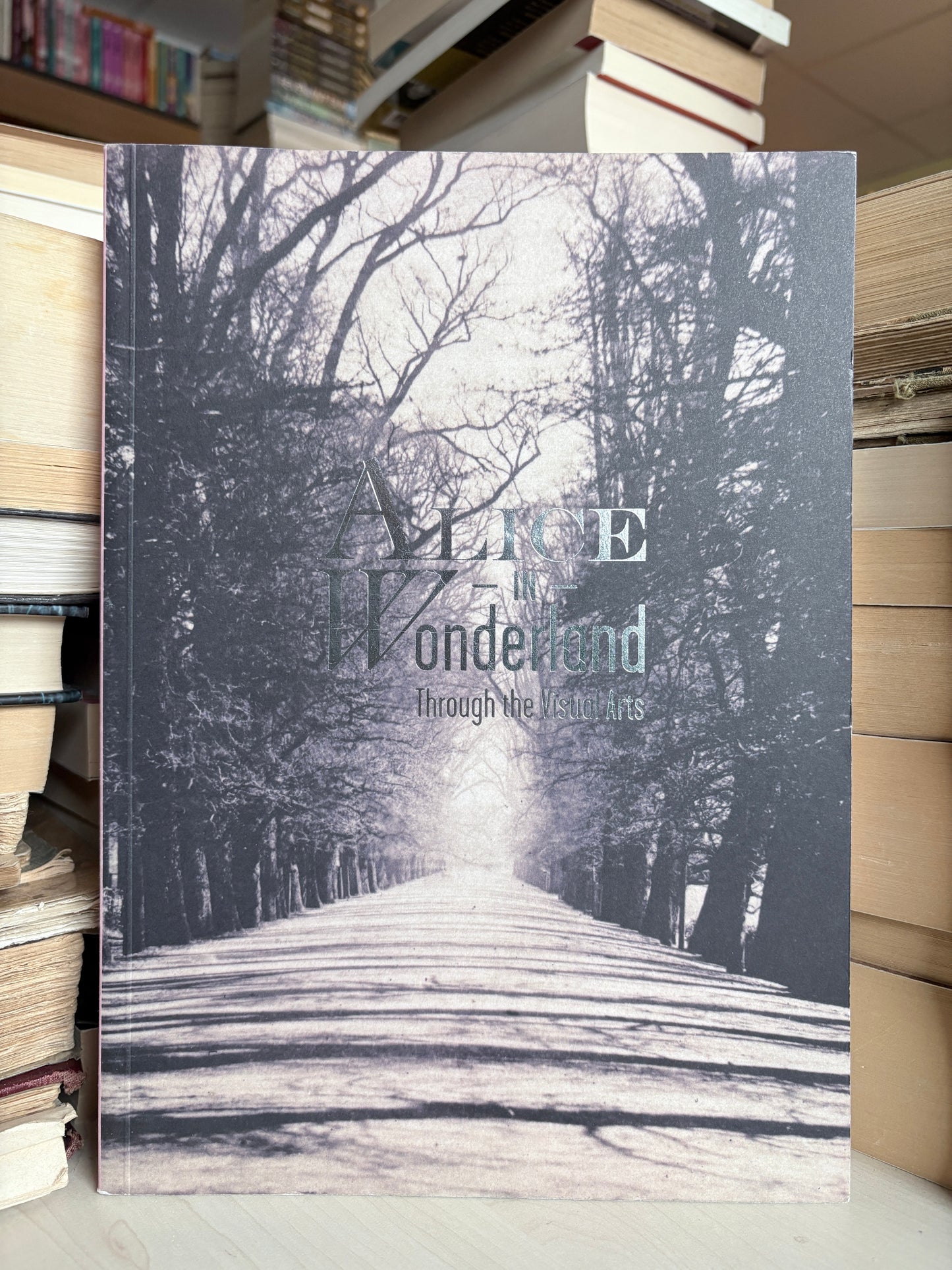 Gavin Delahunty, Christoph Benjamin Schulz - Alice in Wonderland: Through the Visual Arts