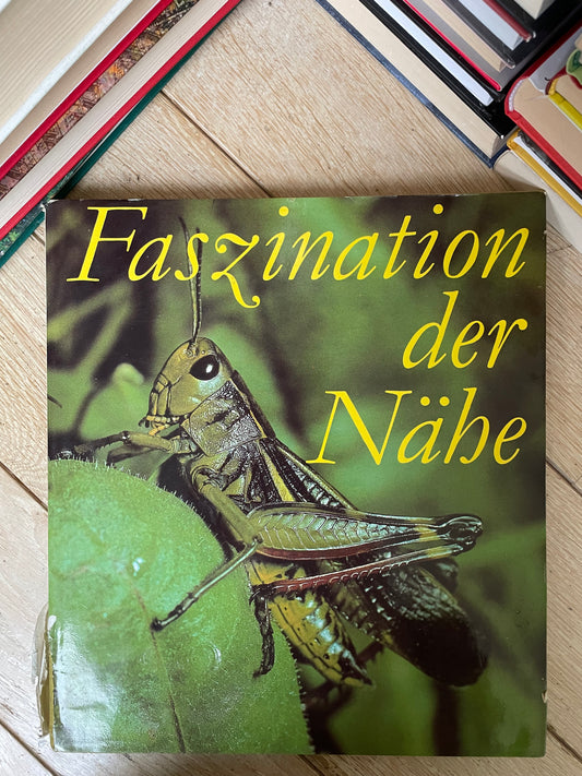Faszination der Nahe (vokiečių)
