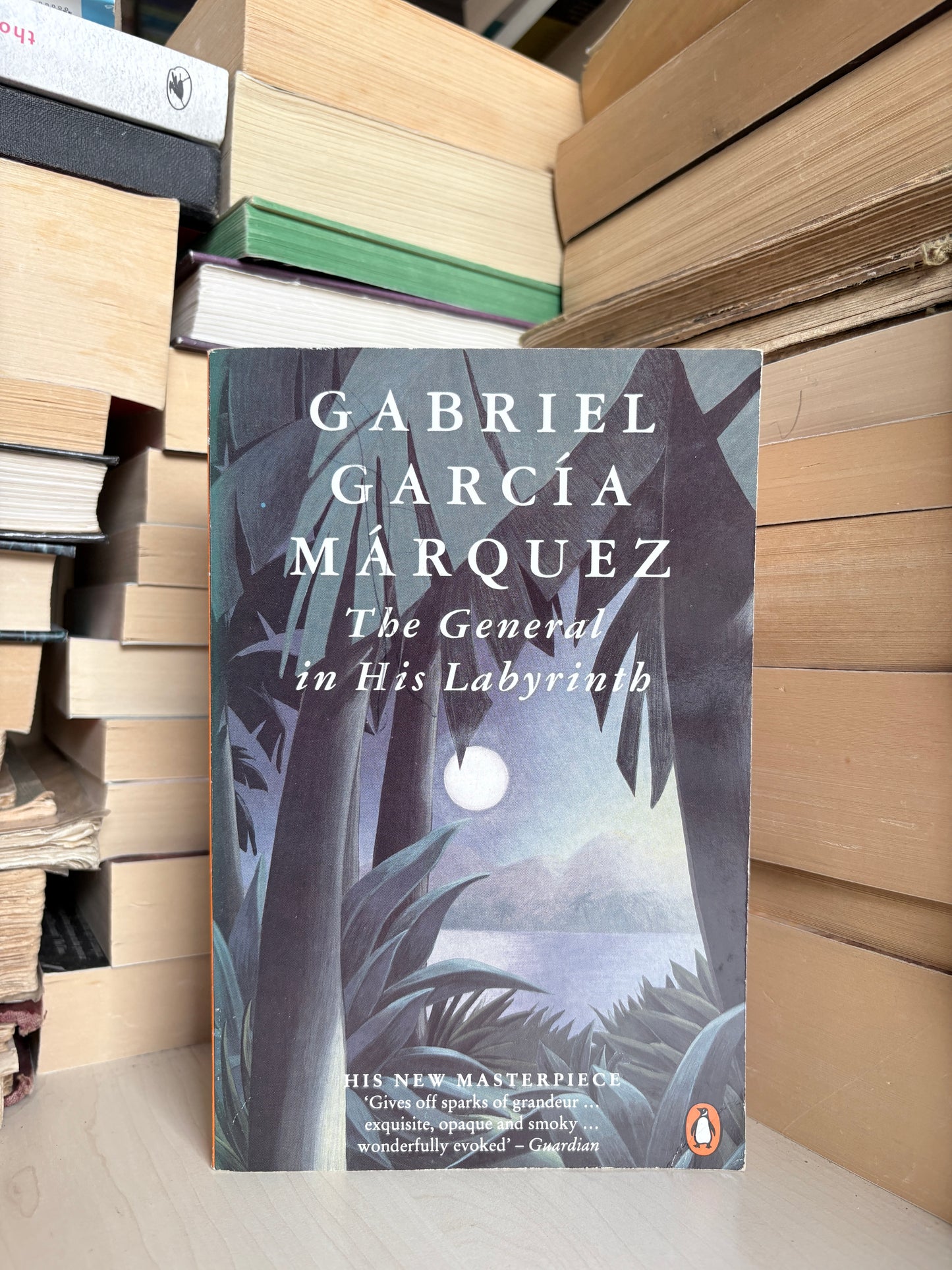 Gabriel Garcia Marquez - The General in His Labyrinth