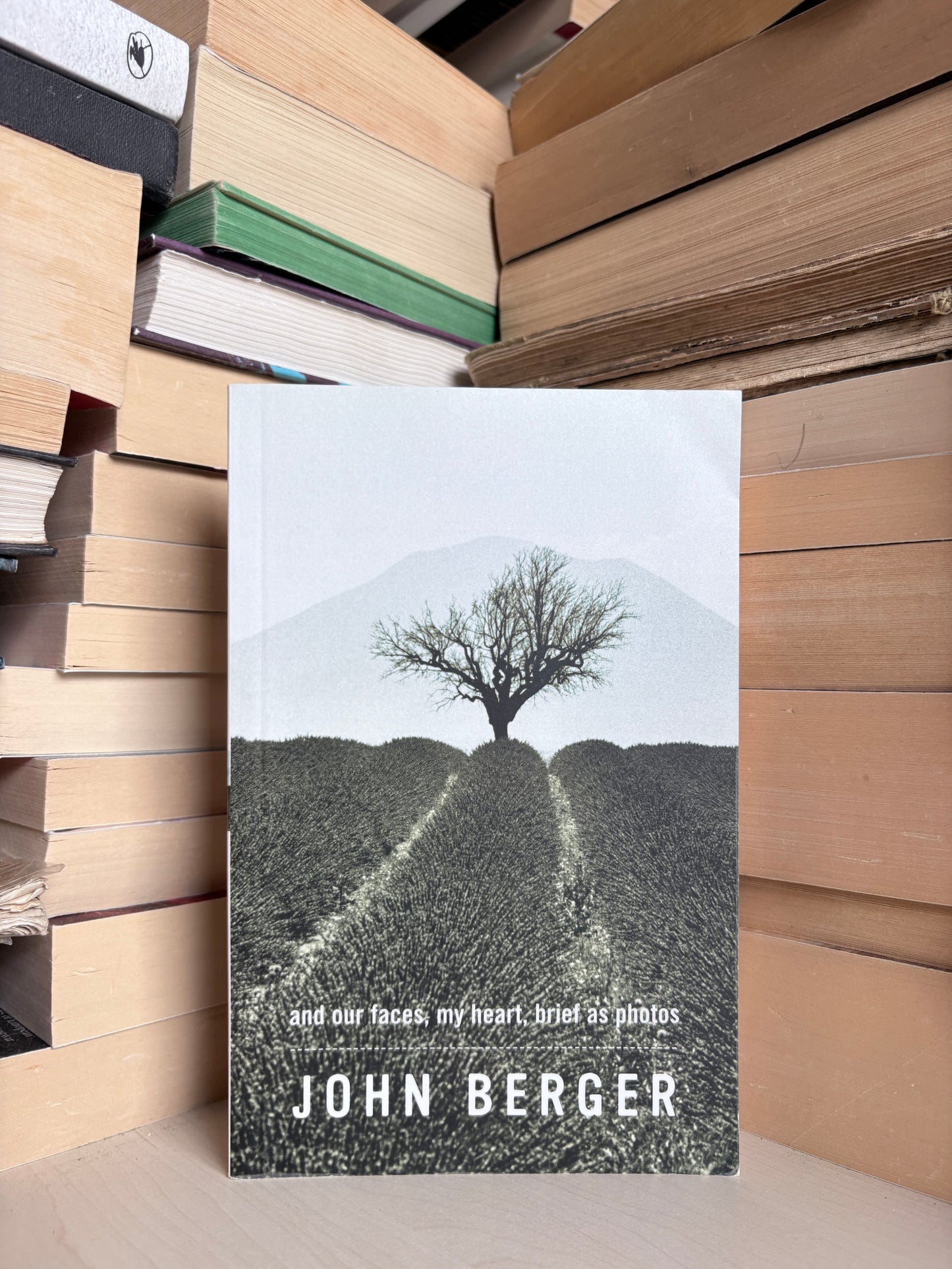 John Berger - And Our Faces, My Heart, Brief as Photos