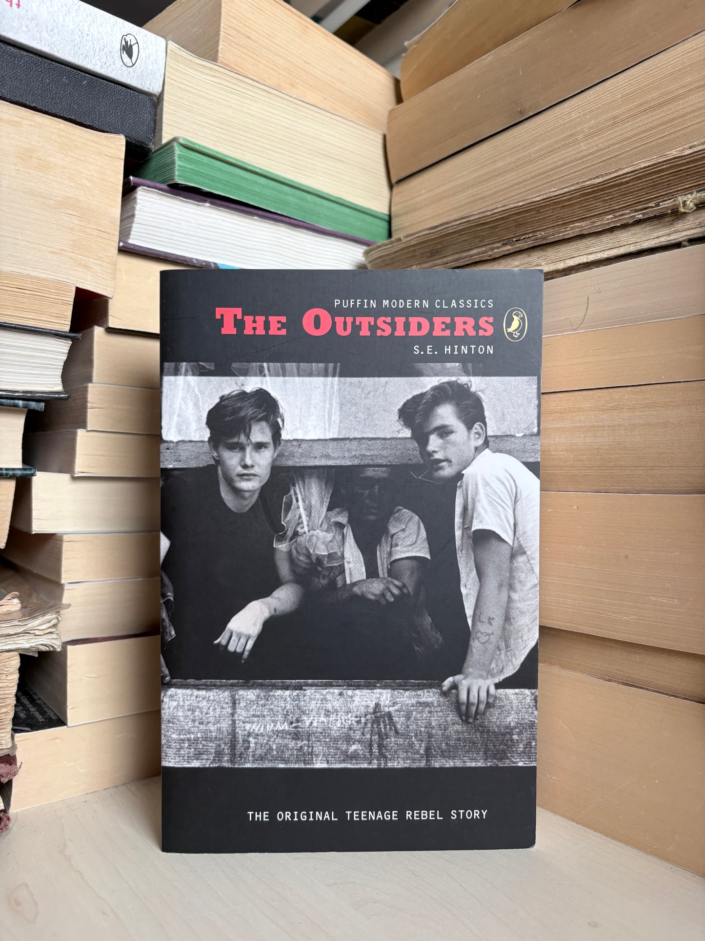 S. E. Hinton - The Outsiders