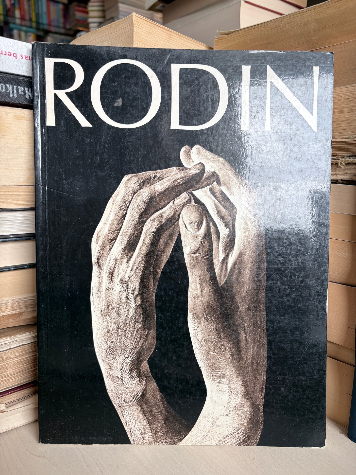 Ludwig Goldscheider - Rodin Sculptures