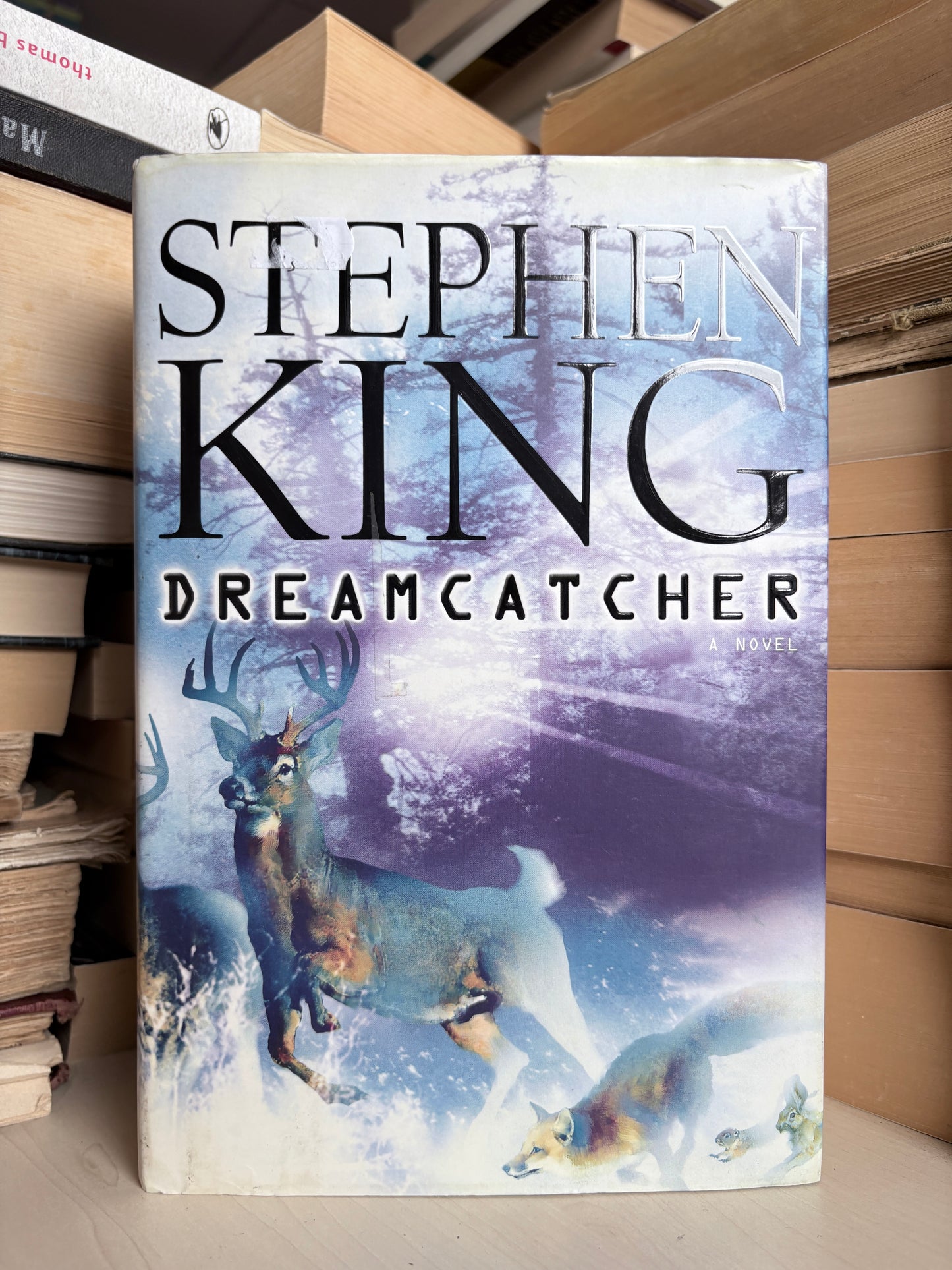 Stephen King - Dreamcatcher