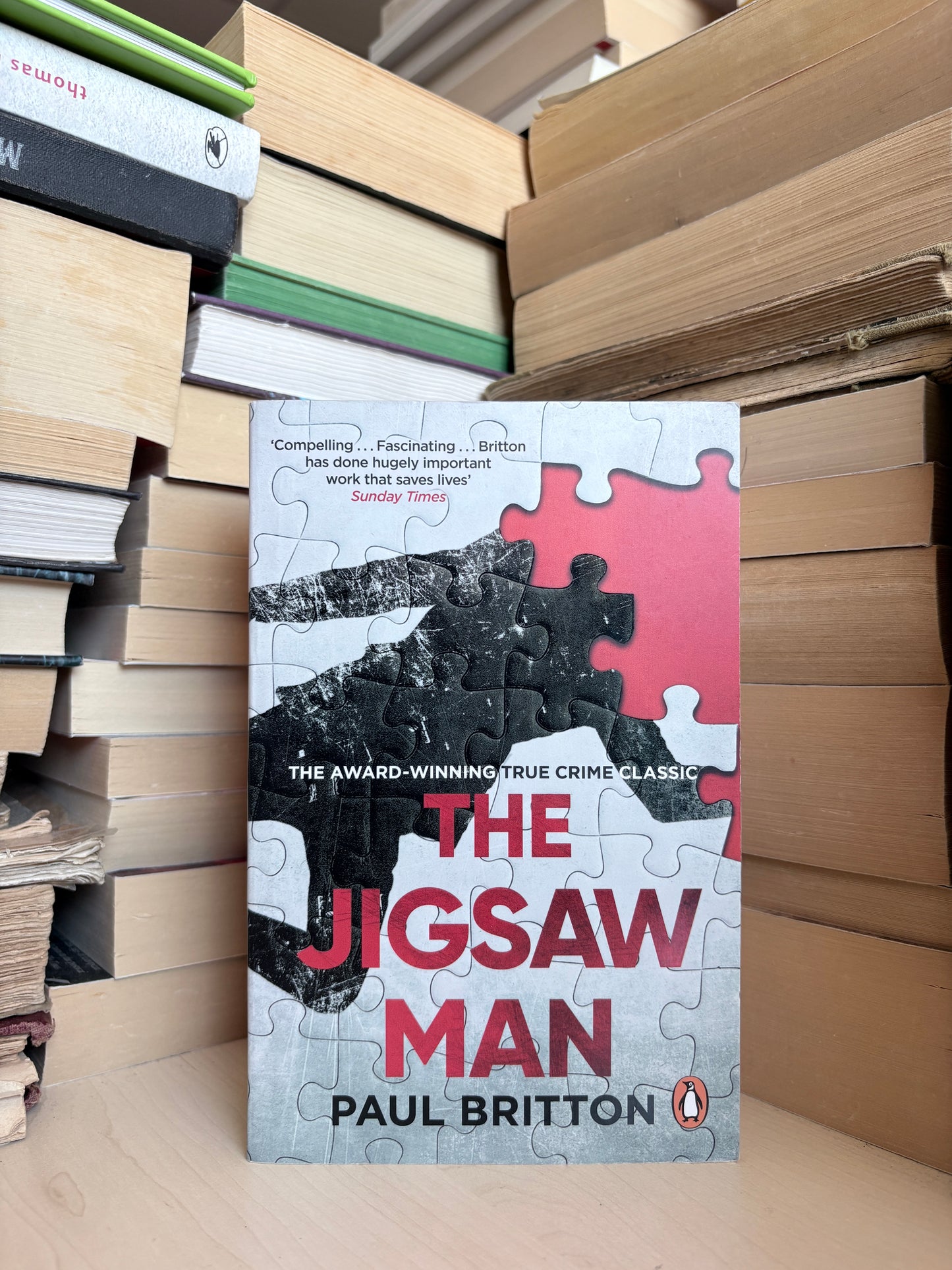Paul Britton - The Jigsaw Man