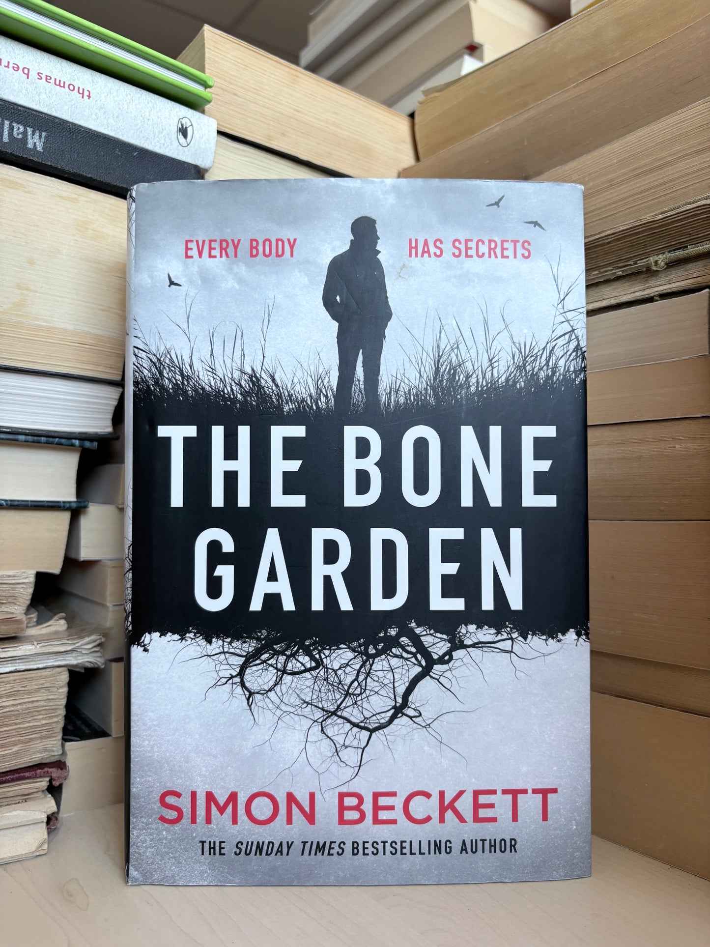 Simon Beckett - The Bone Garden