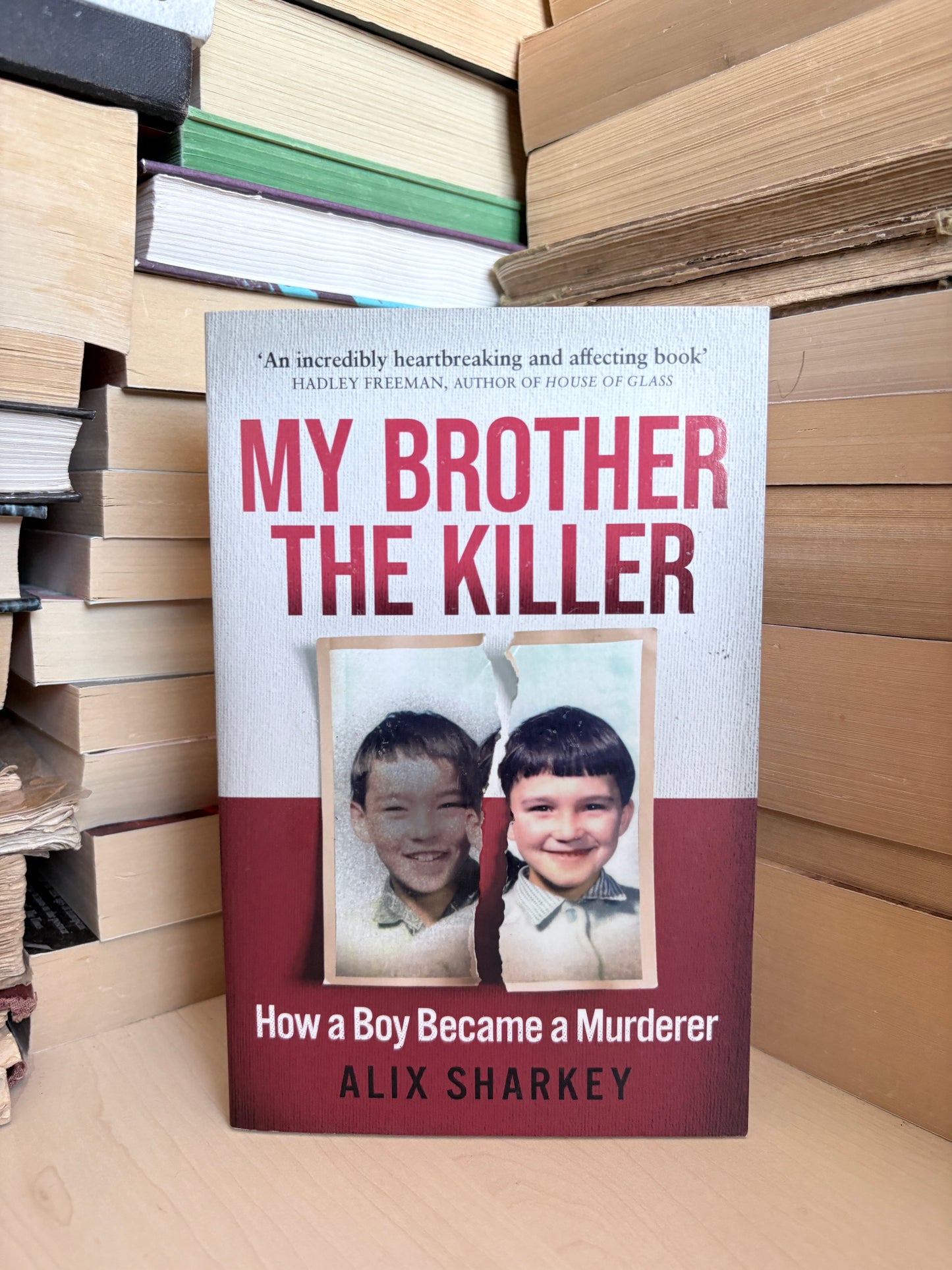 Alix Sharkey - My Brother the Killer