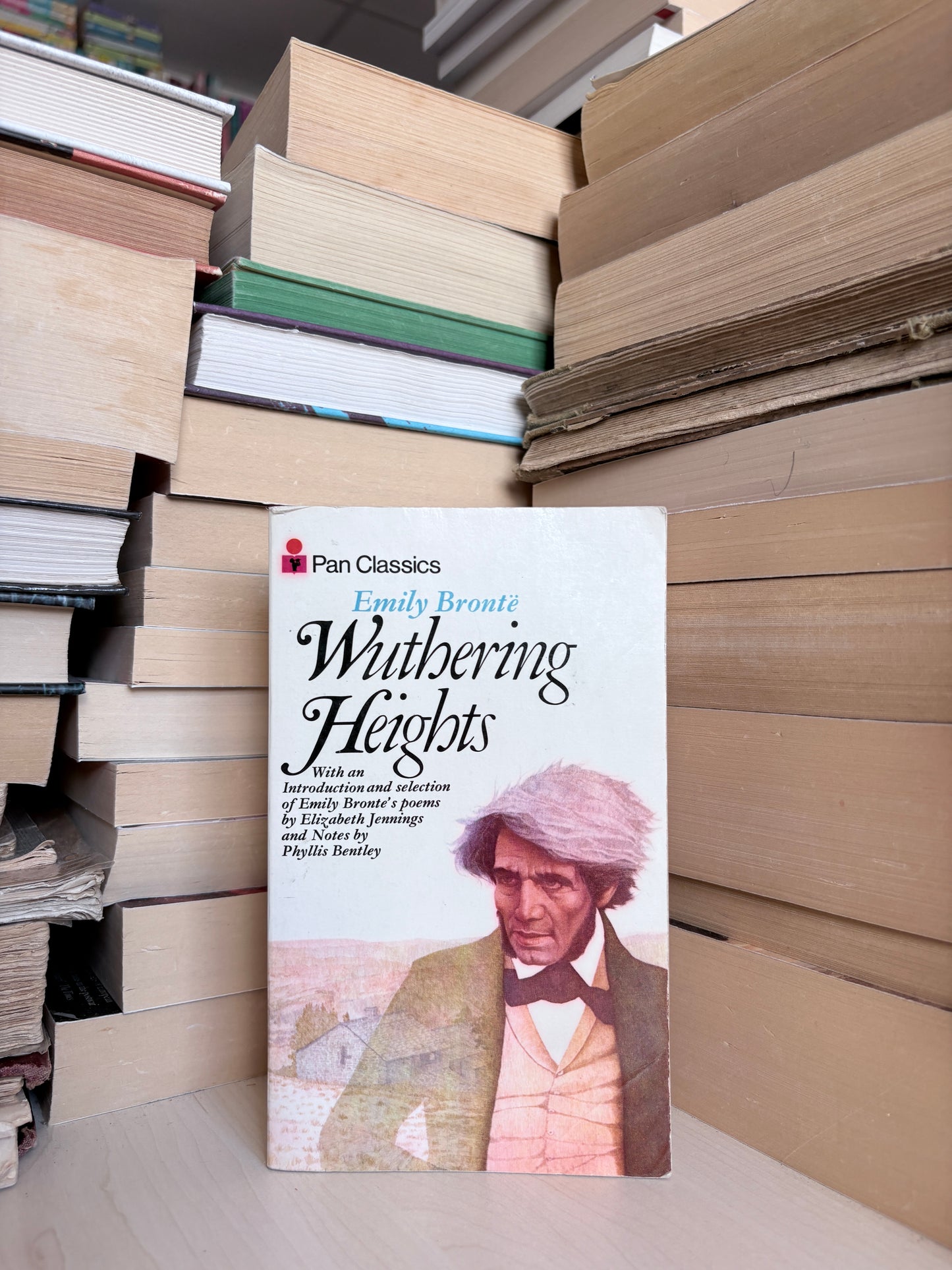 Emily Bronte - Wuthering Heights