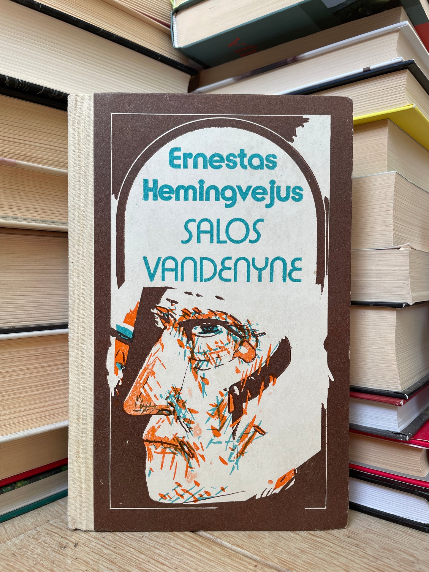 Ernest Hemingway - ,,Salos vandenyne"