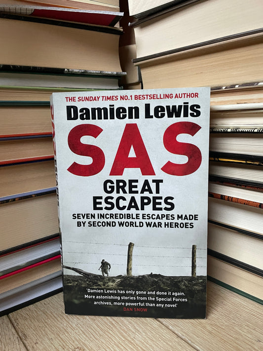 Damien Lewis - SAS: Great Escape