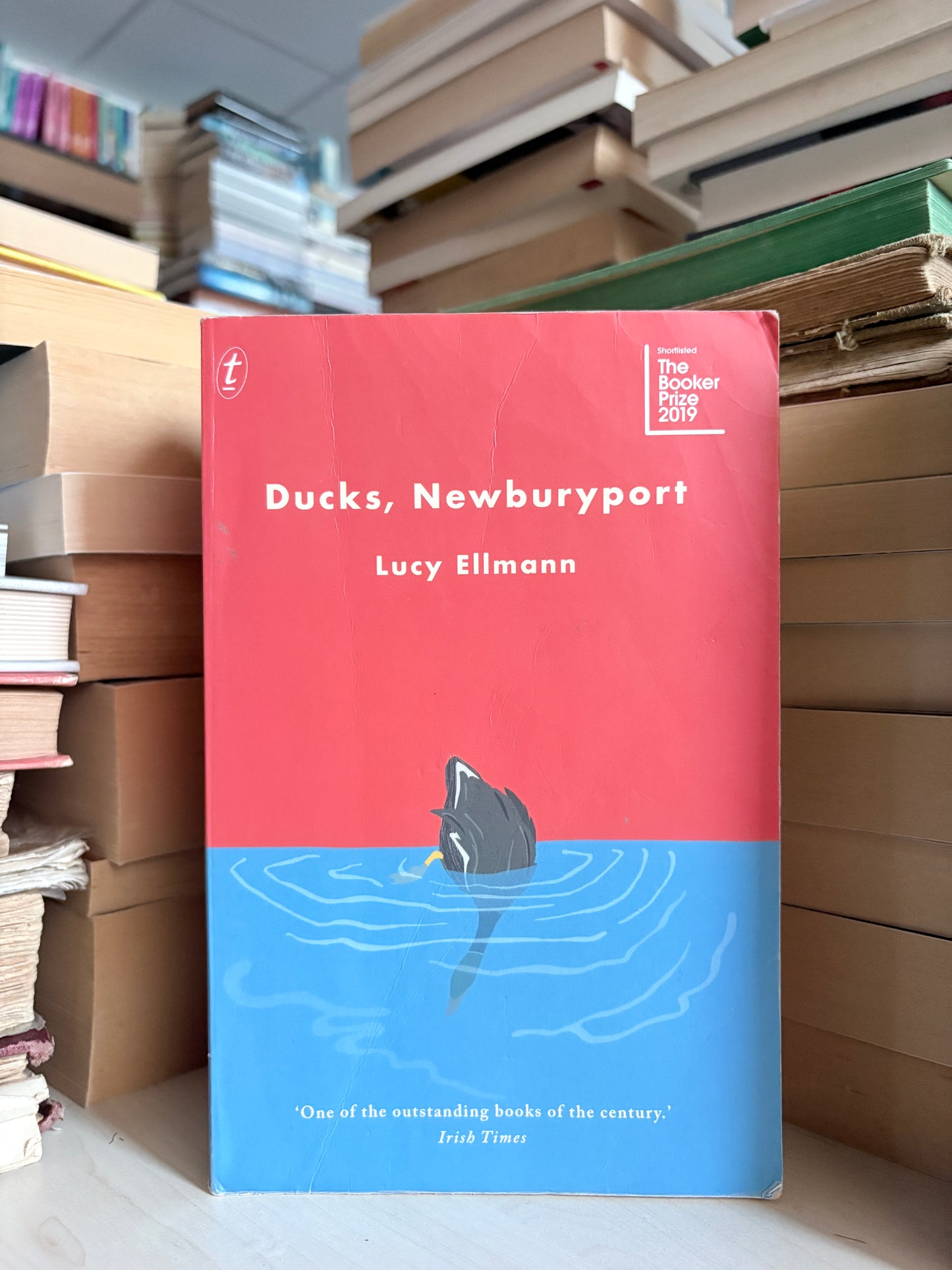 Lucy Ellmann - Ducks, Newburyport