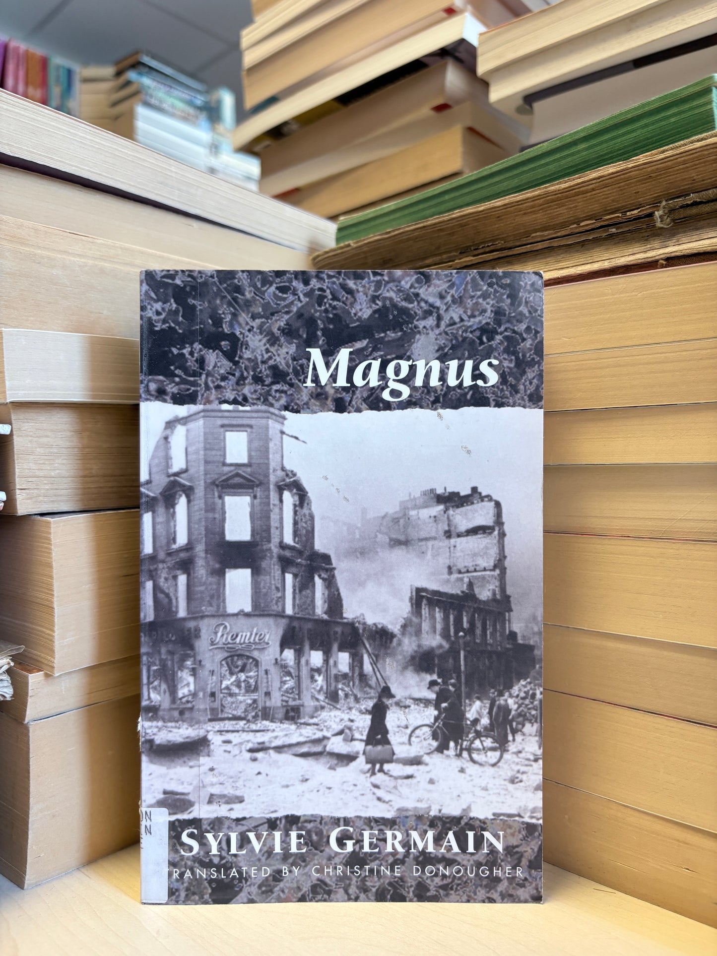 Sylvie Germain - Magnus
