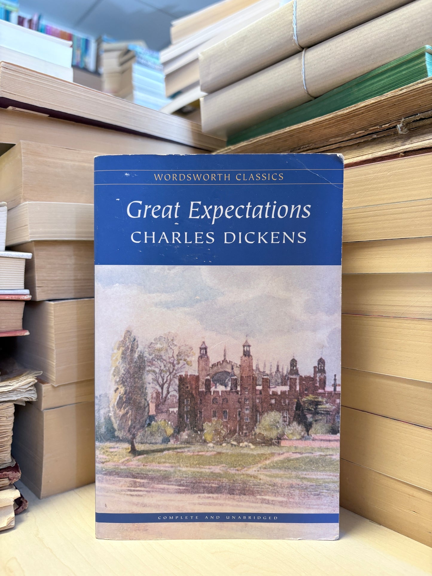 Charles Dickens - Great Expectations