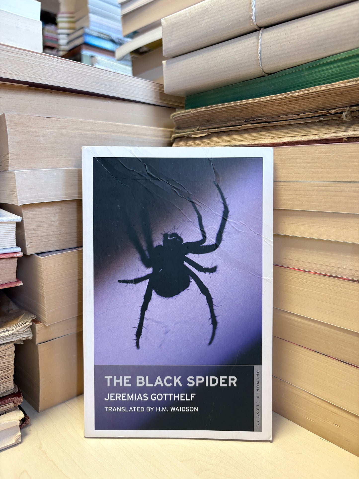 Jeremias Gotthelf - The Black Spider
