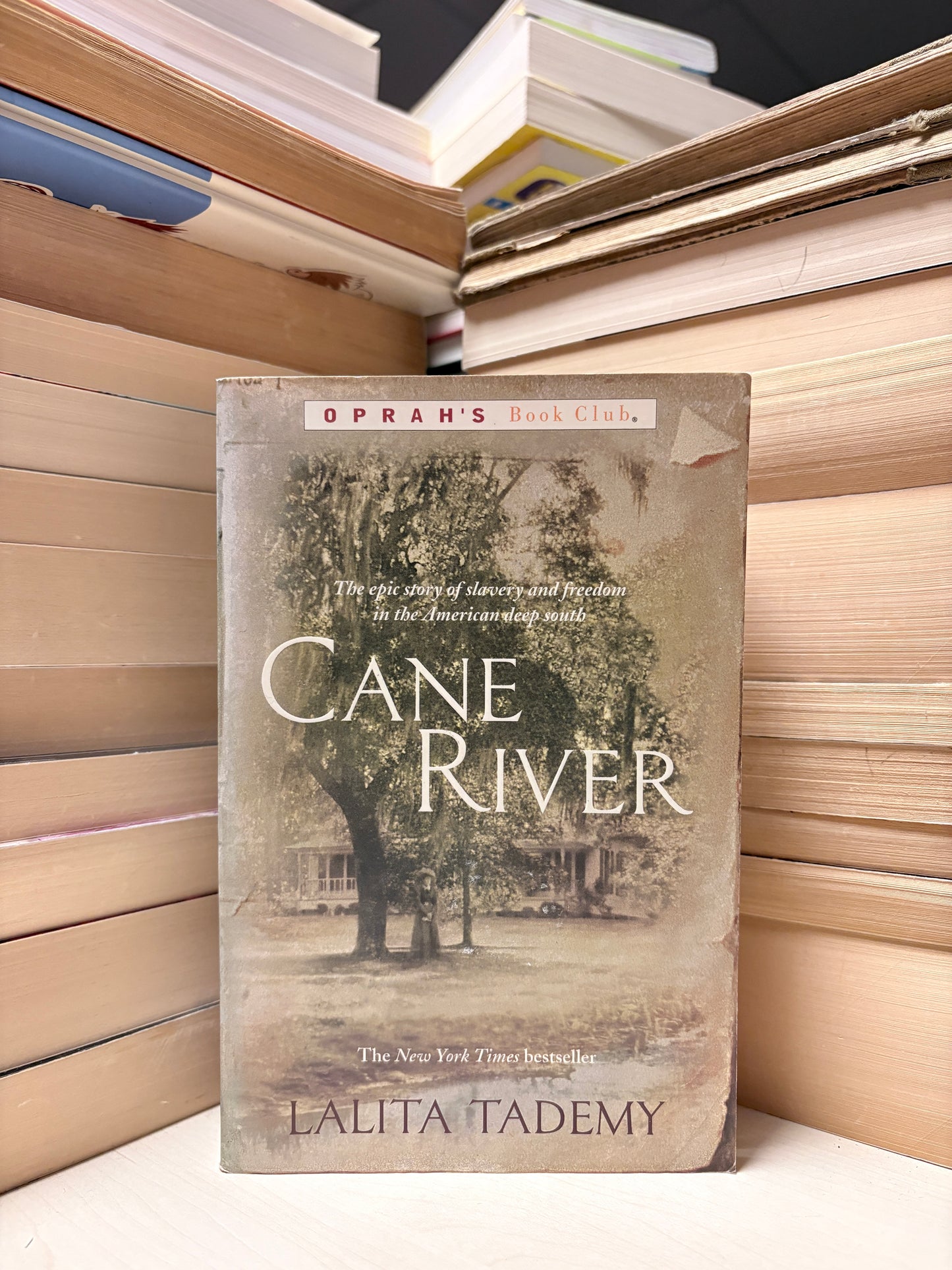 Lalita Tademy - Cane River