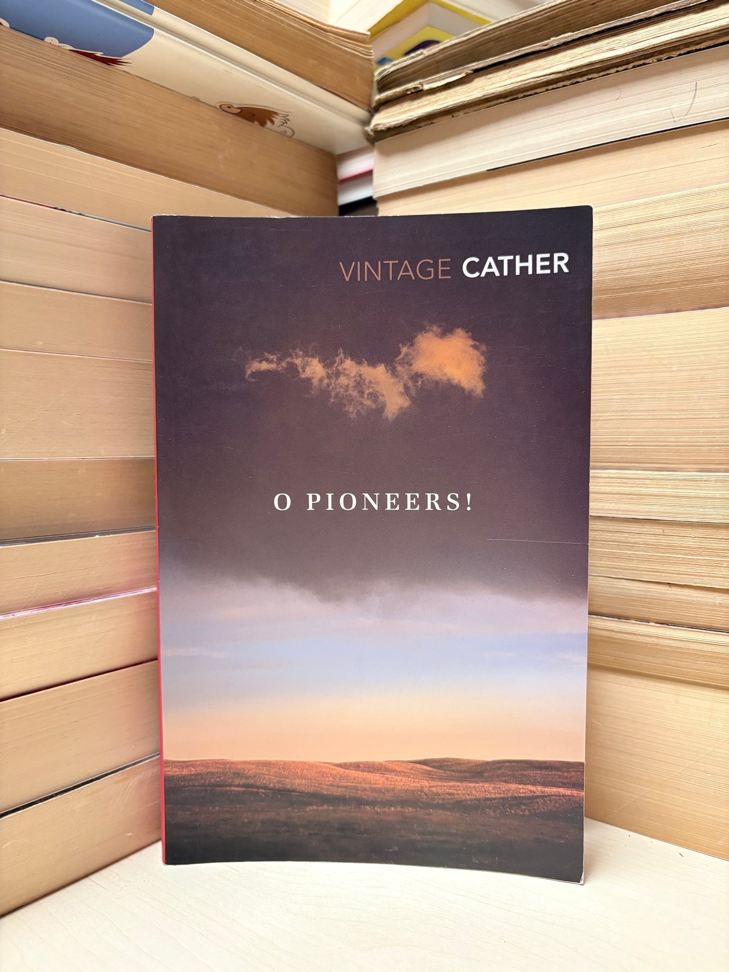 Willa Cather - O Pioneers!