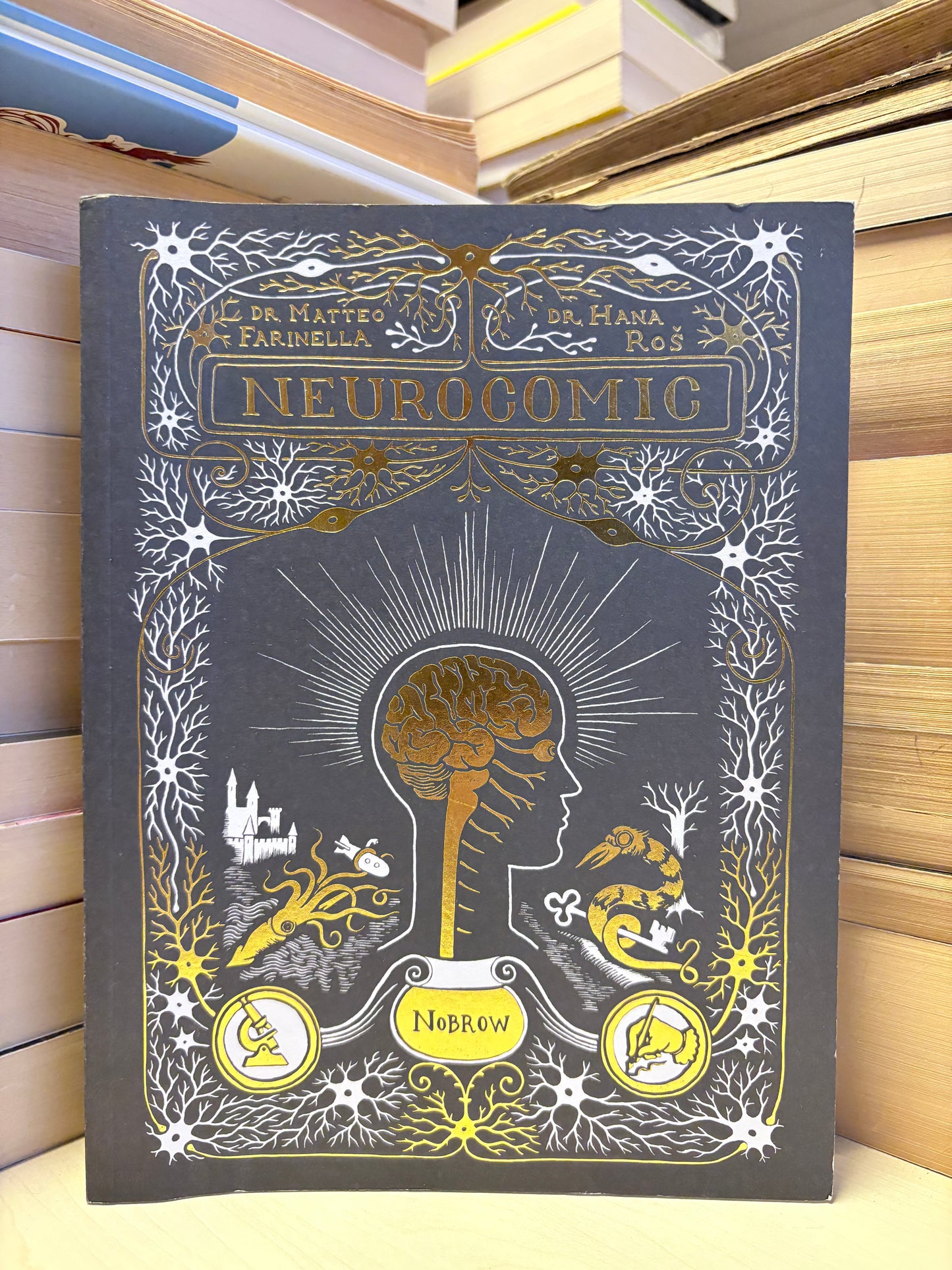 Matteo Farinella, Hana Roš - Neurocomic