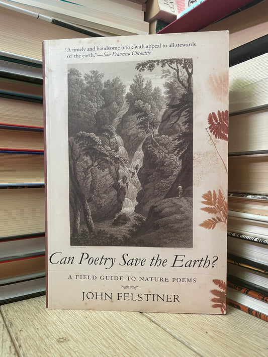 John Felstinger - Can Poetry Save the Earth?
