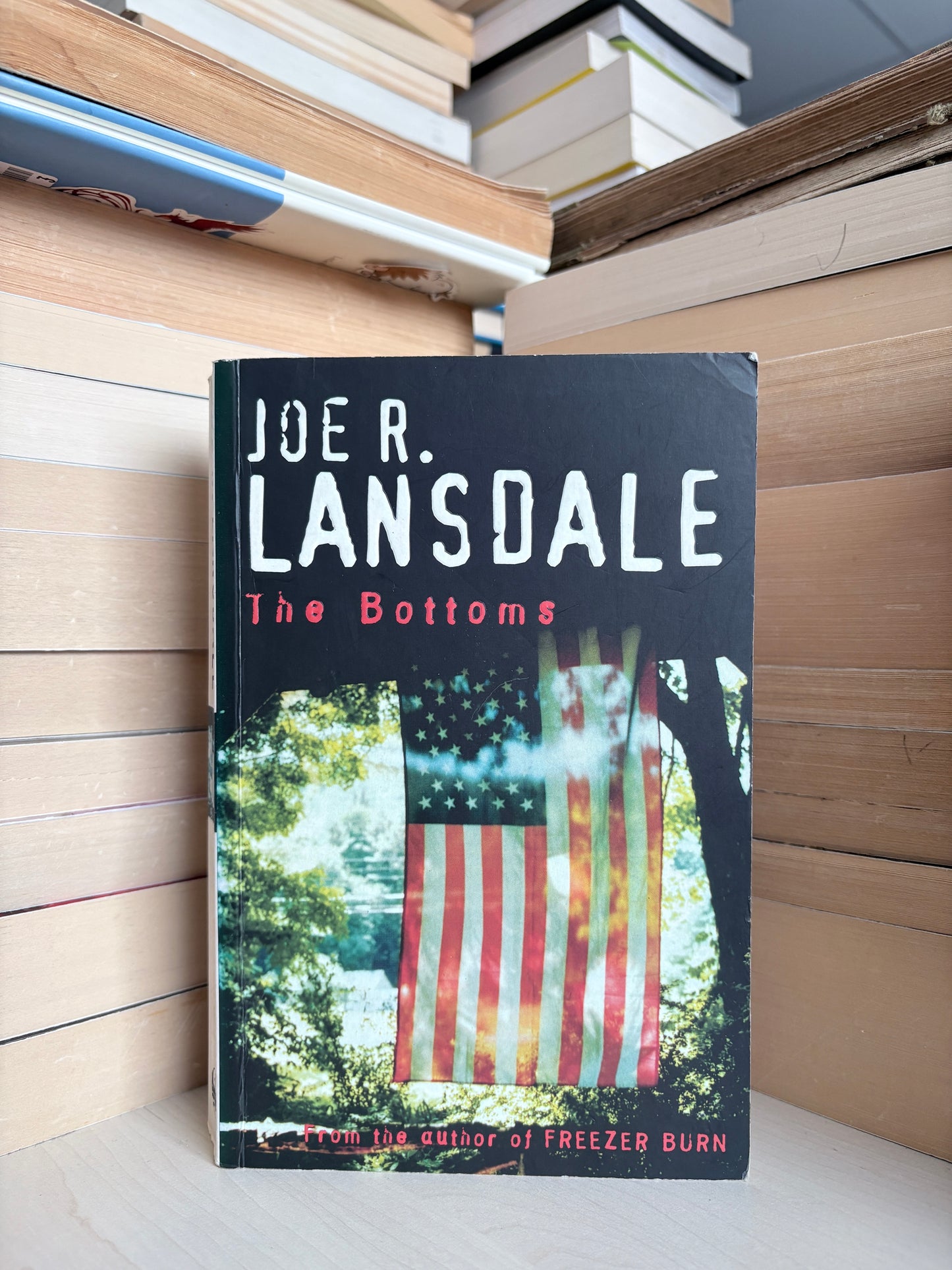 Joe R. Lansdale - The Bottoms