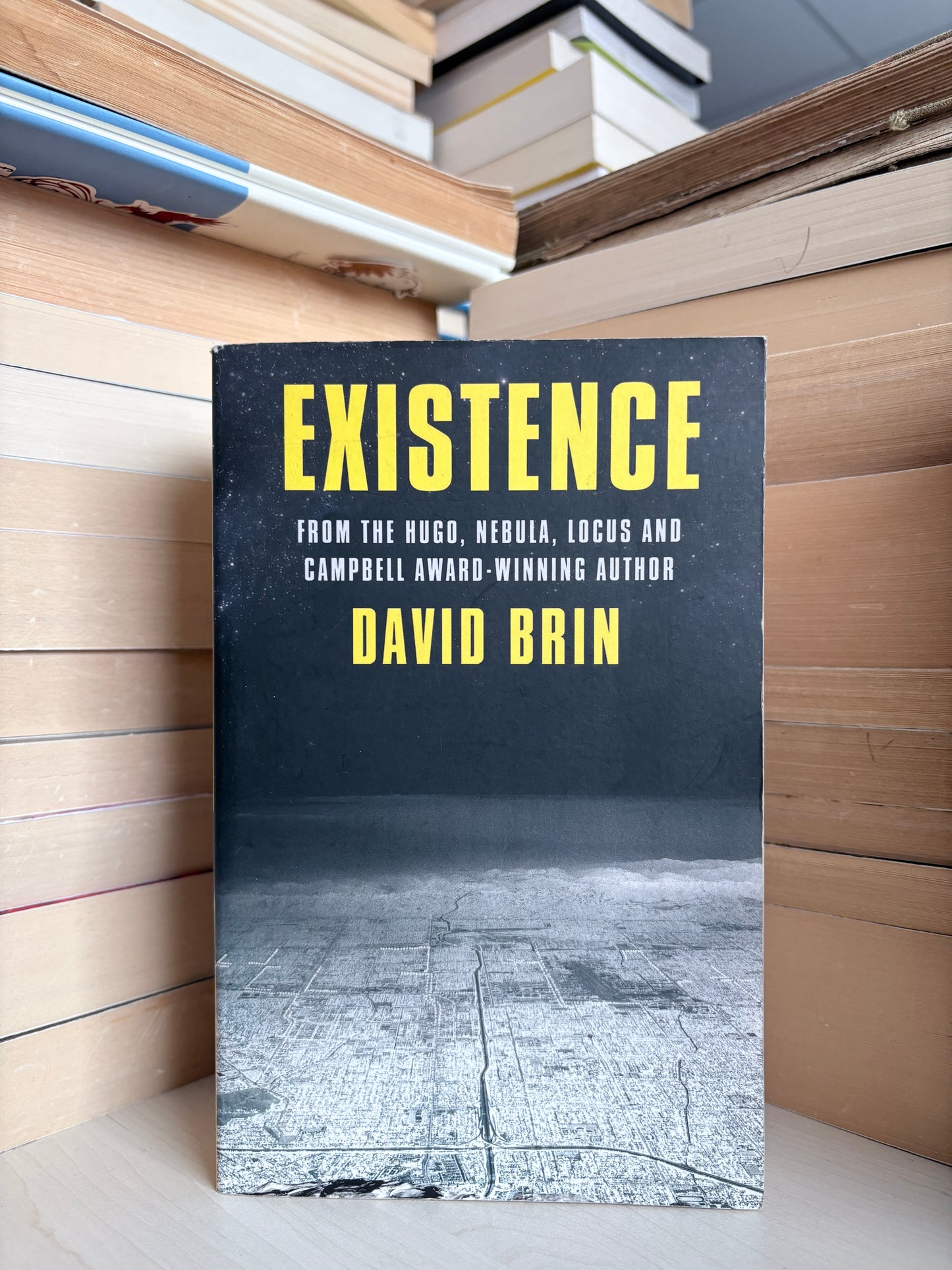 David Brin - Existence