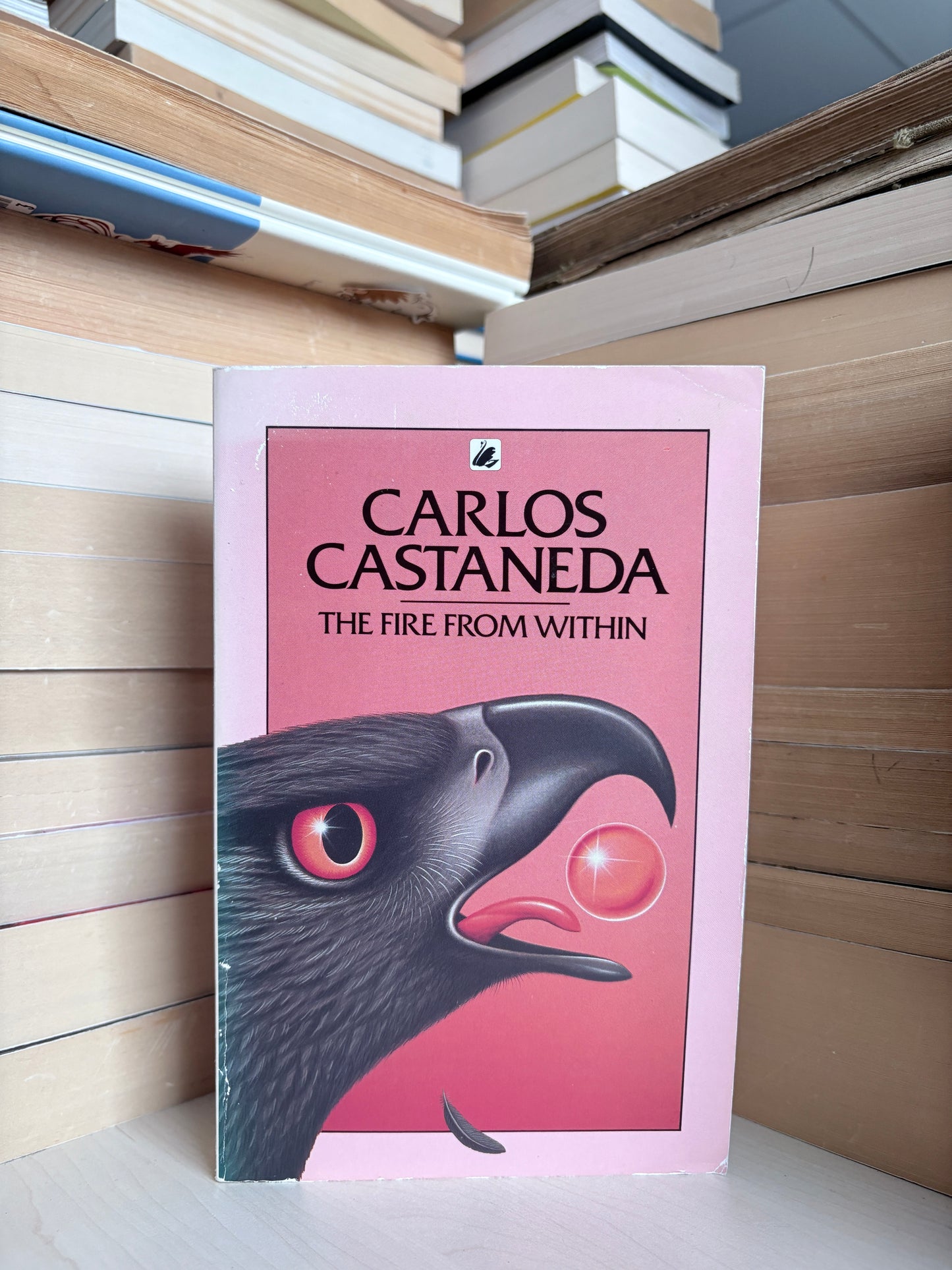 Carlos Castaneda - The Fire From Within