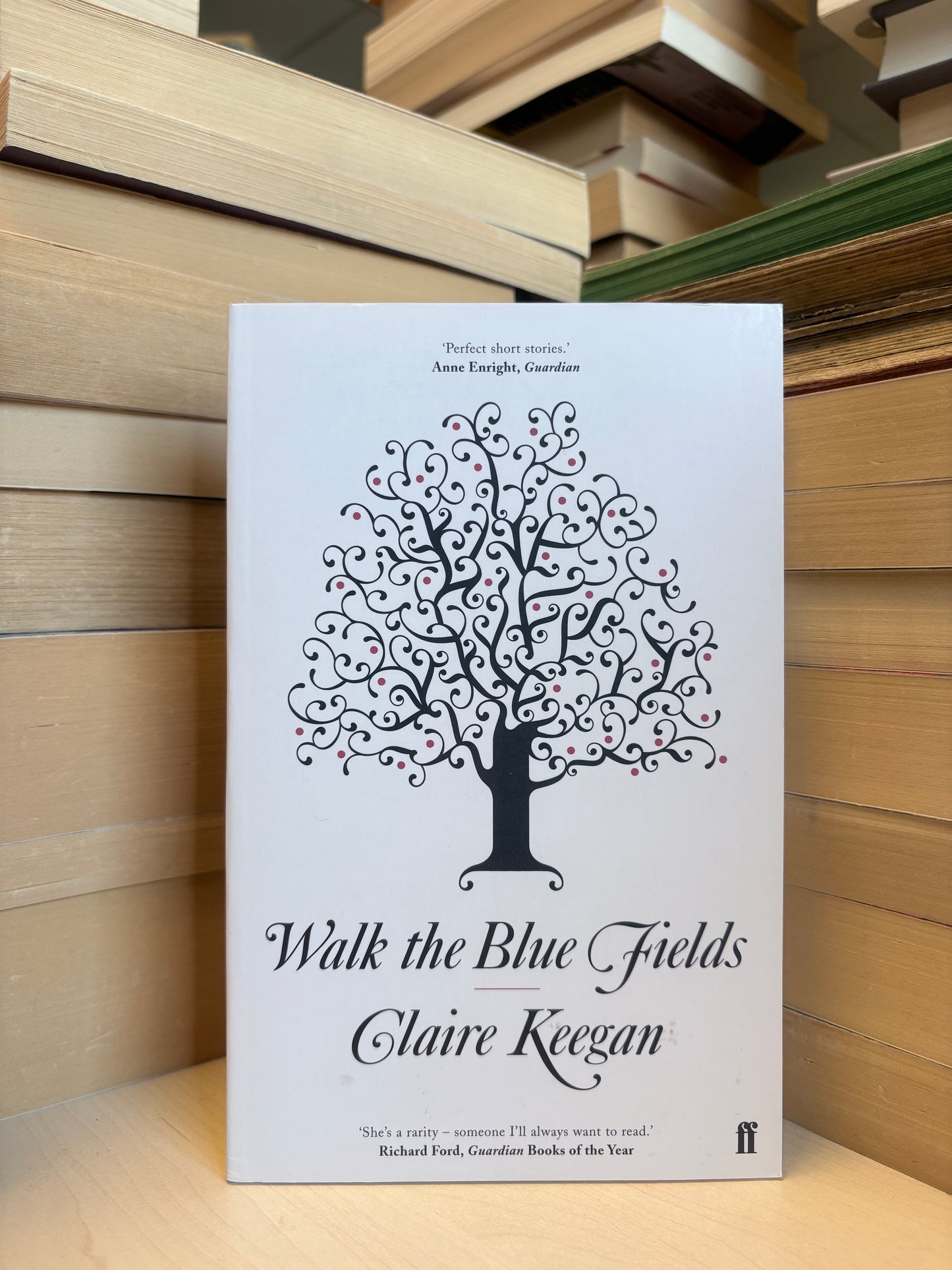 Claire Keegan - Walk the Blue Fields