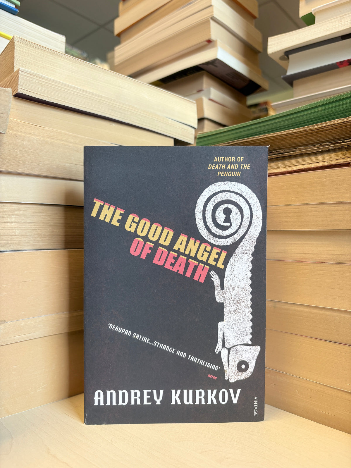 Andrey Kurkov - The Good Angel of Death