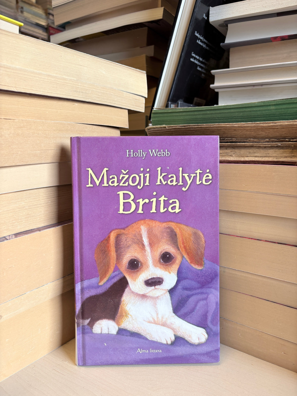 Holly Webb - ,,Mažoji kalytė Brita"