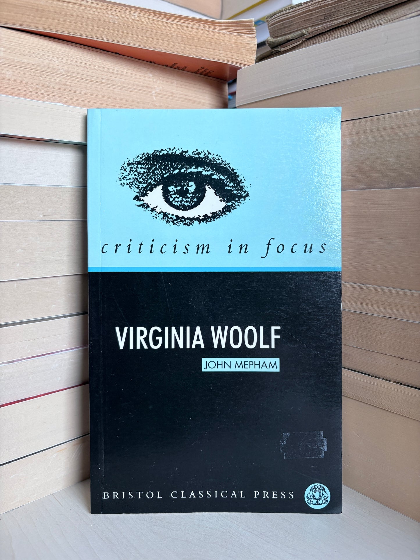 John Mepham - Criticism in Focus: Virginia Woolf