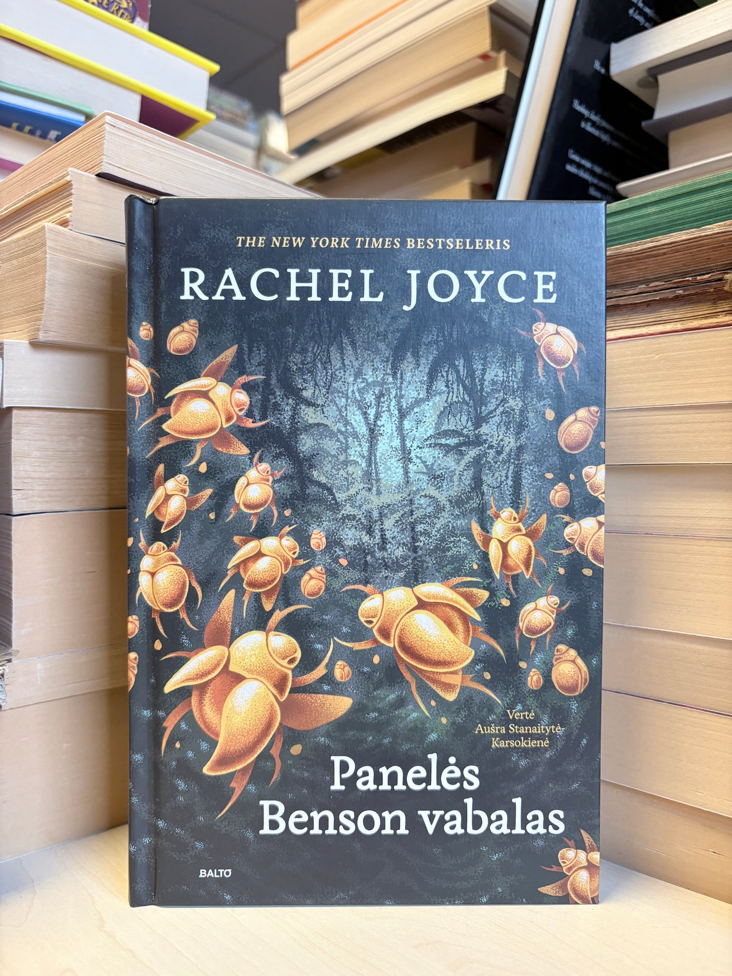 Rachel Joyce - ,,Panelės Benson vabalas"