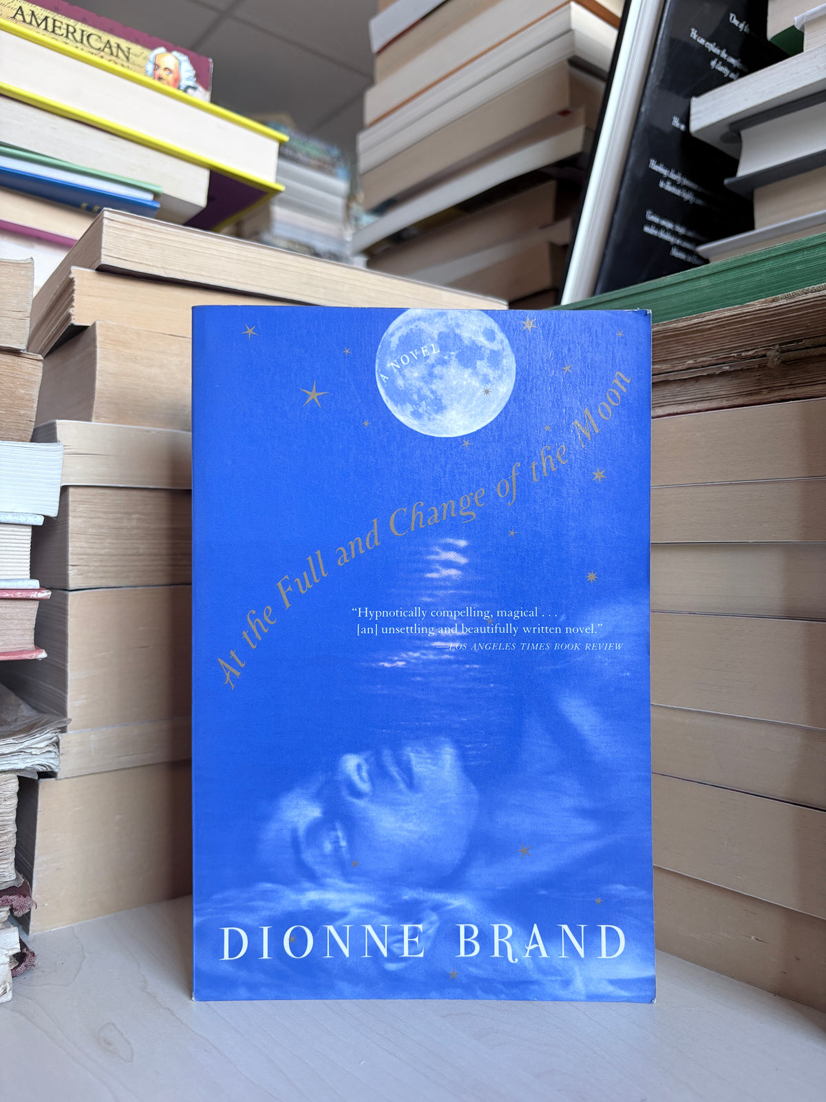 Dionne Brand - At the Full and Change of the Moon