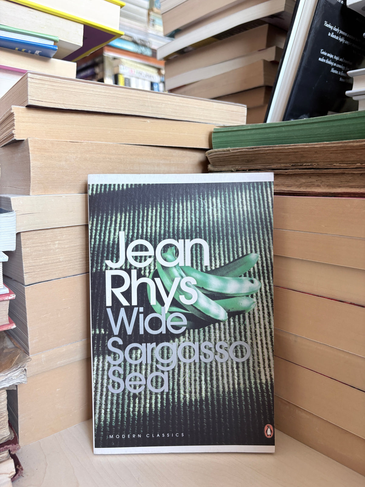 Jean Rhys - Wide Sargasso Sea