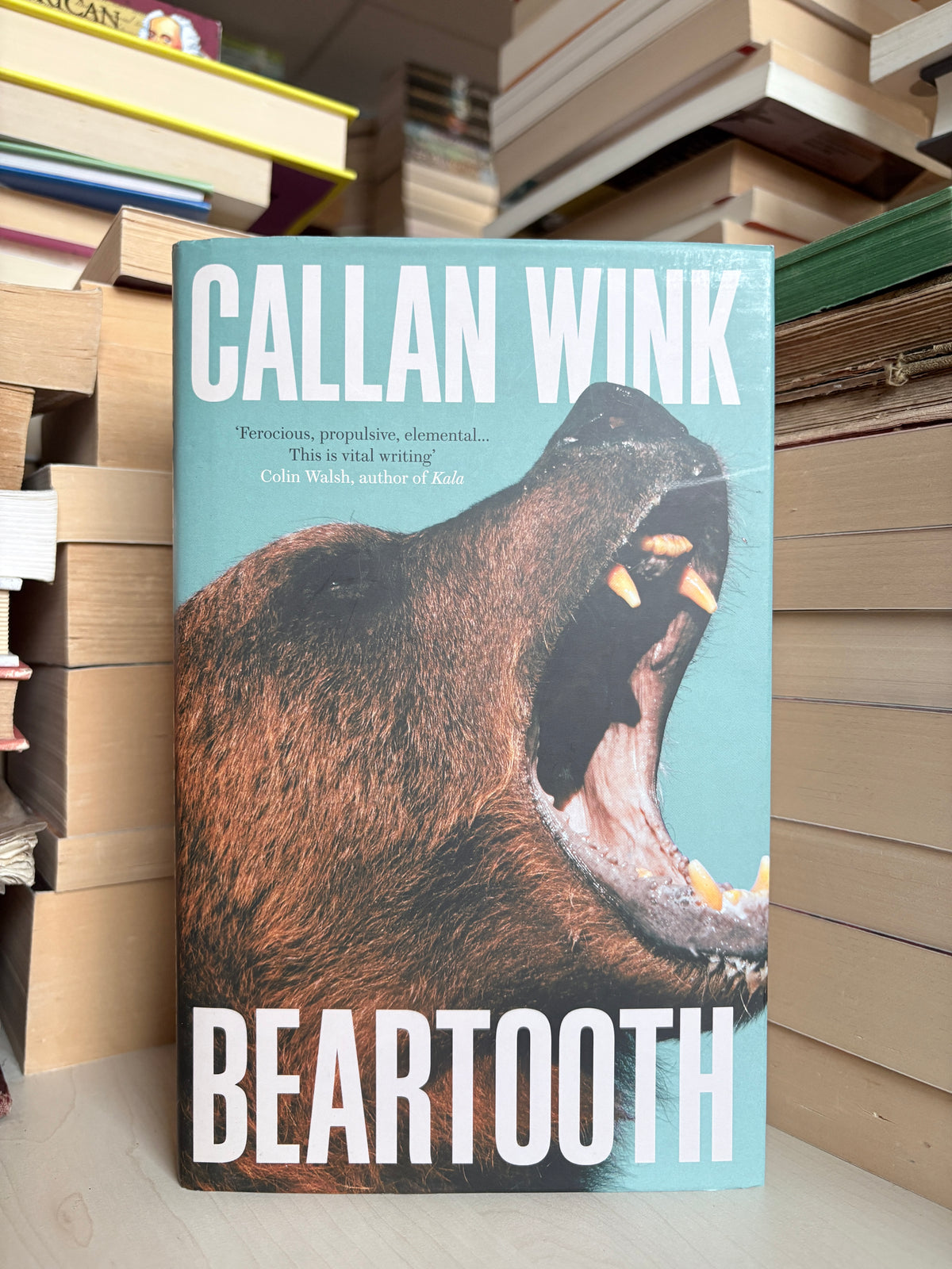 Callan Wink - Beartooth