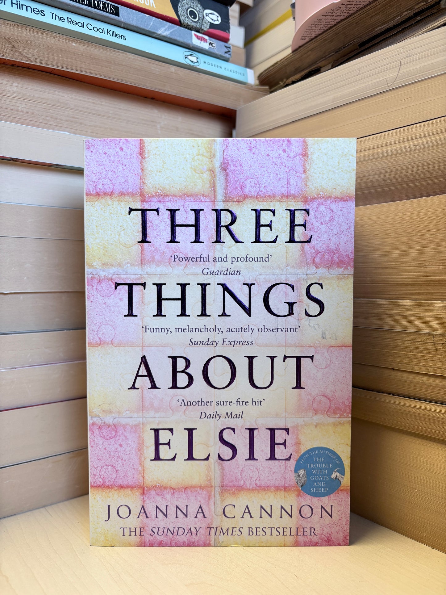 Joanna Cannon - Three Things About Elsie