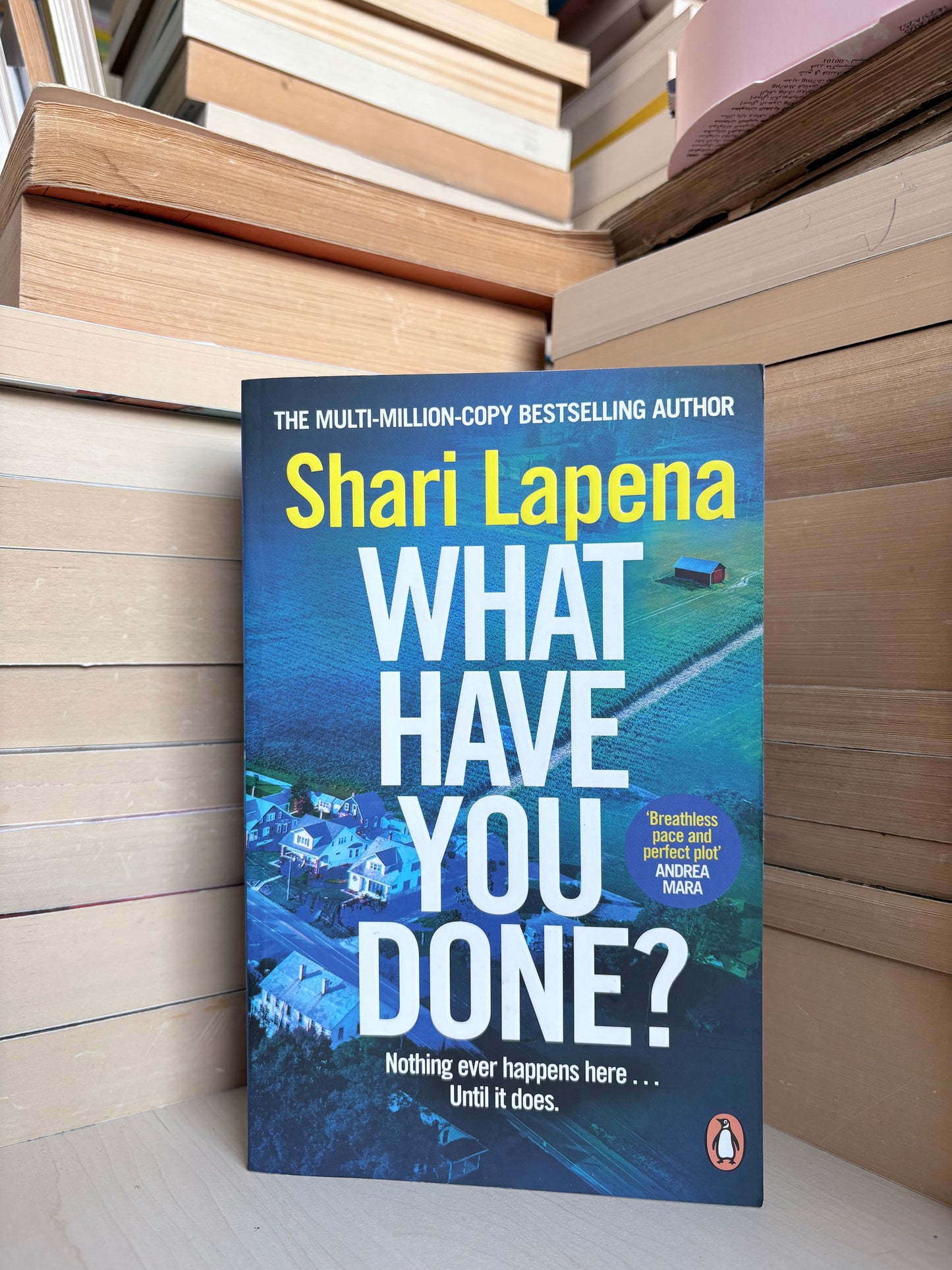 Shari Lapena - What Have You Done?