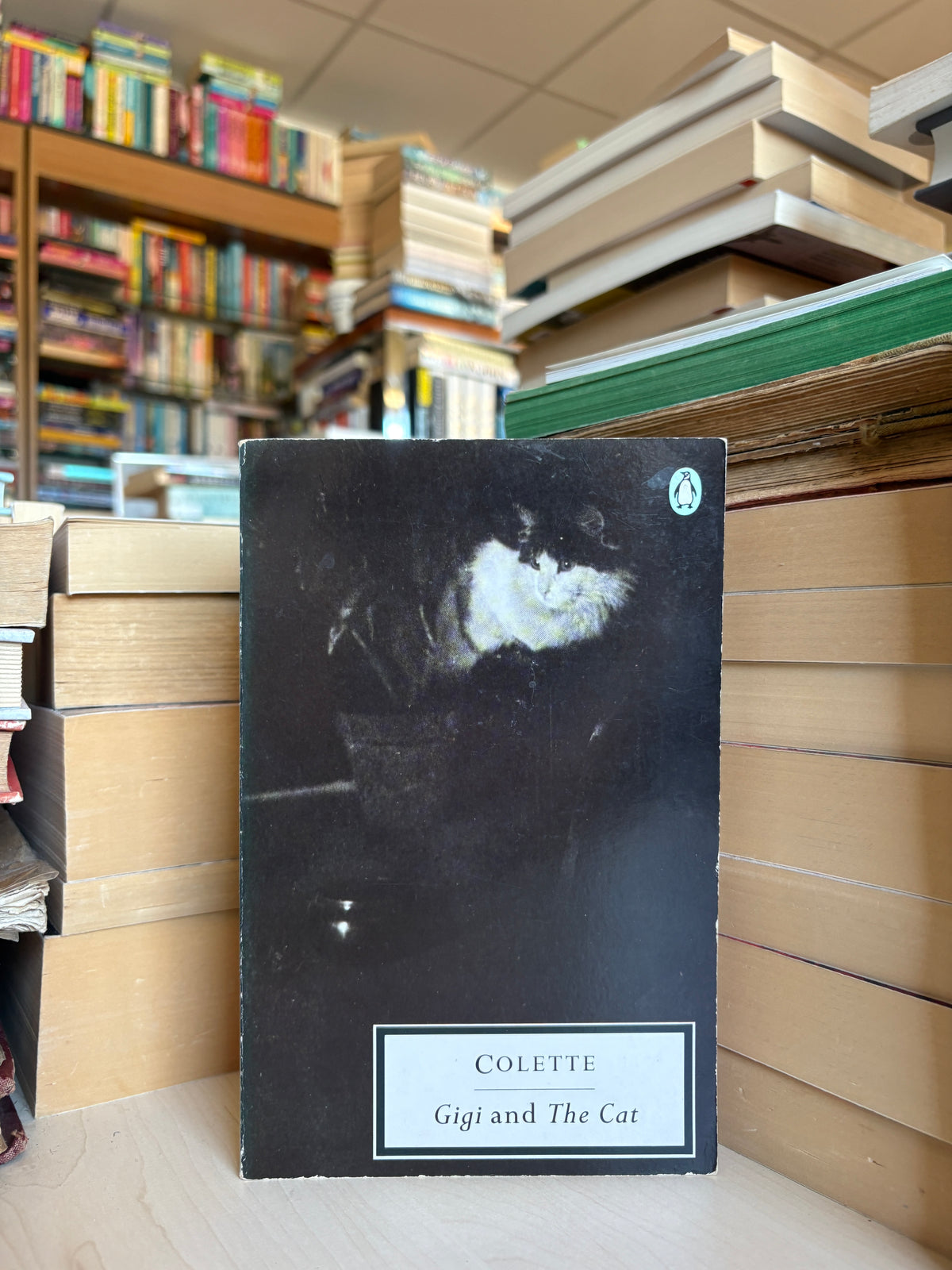 Colette - Gigi and The Cat
