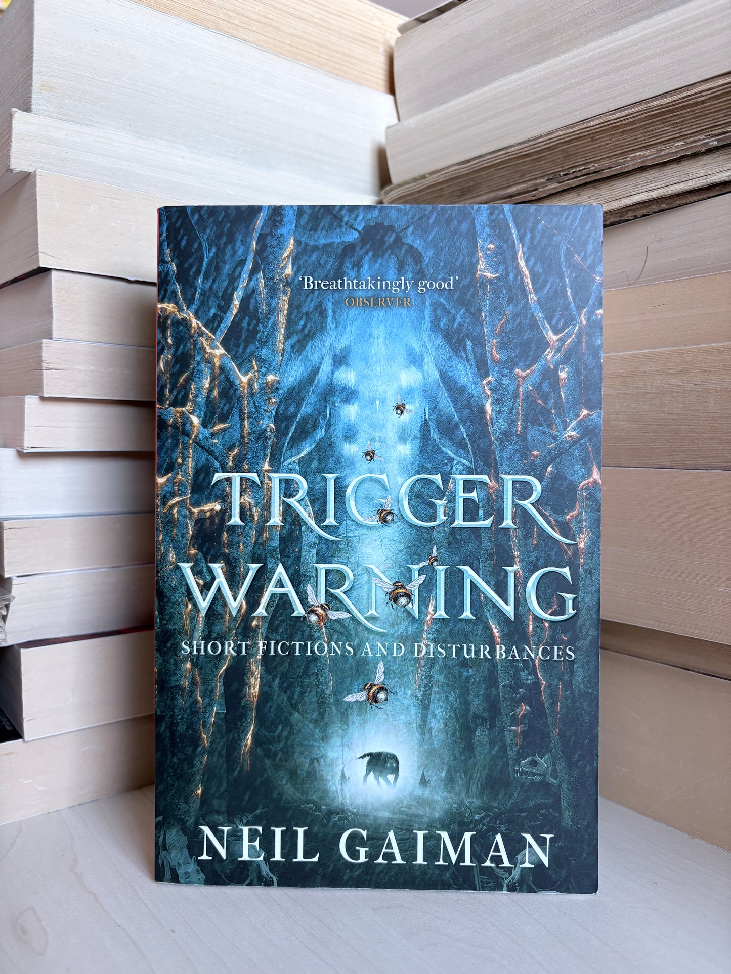 Neil Gaiman - Trigger Warning
