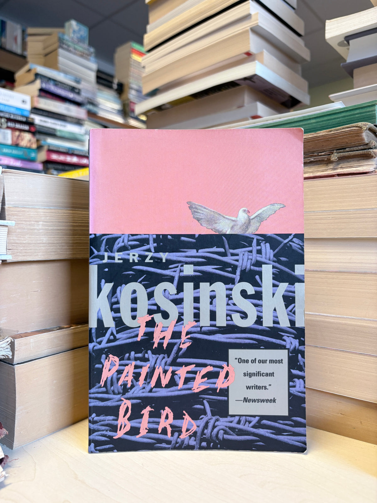 Jerzy Kosinski - The Painted Bird